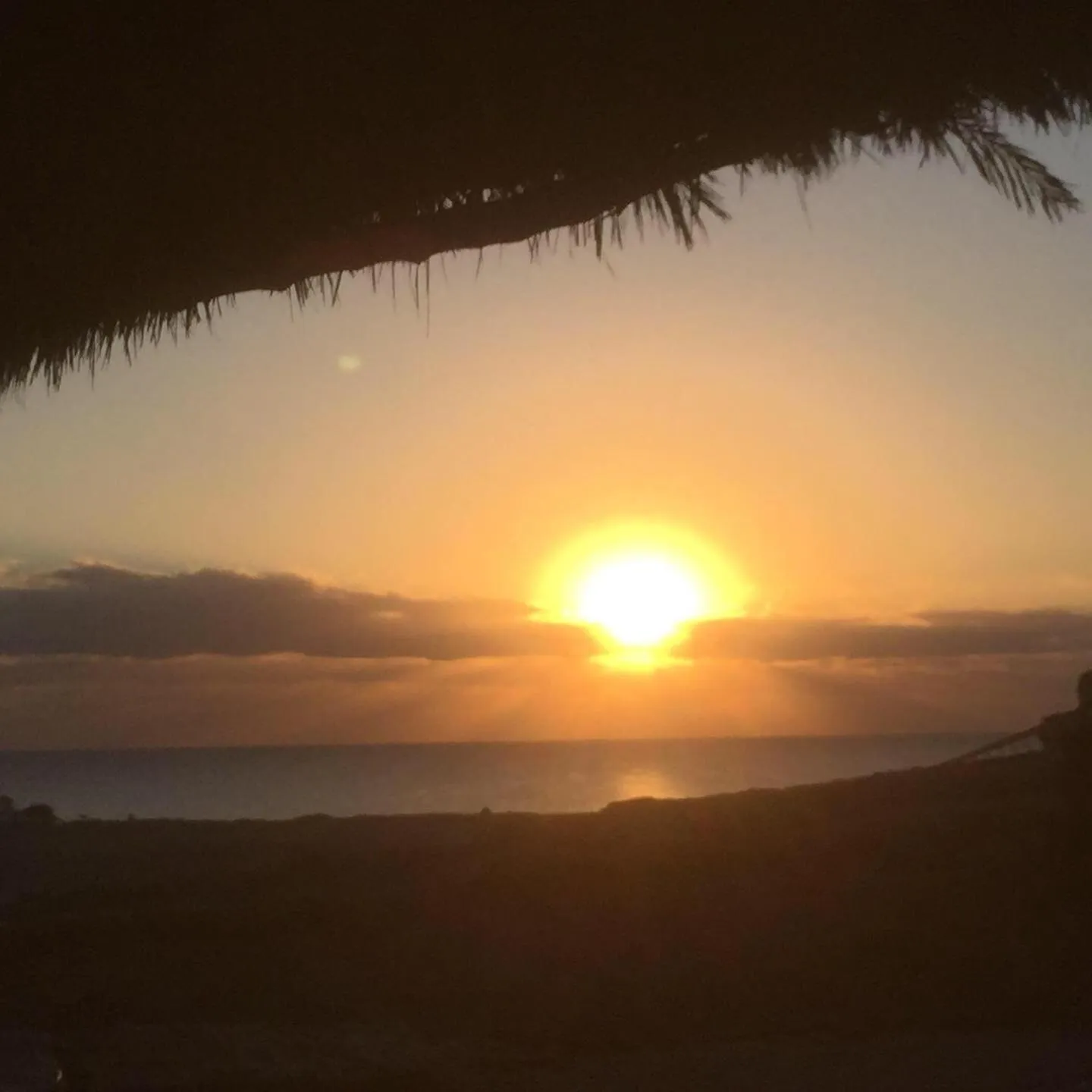 Deep south Eco-lodge