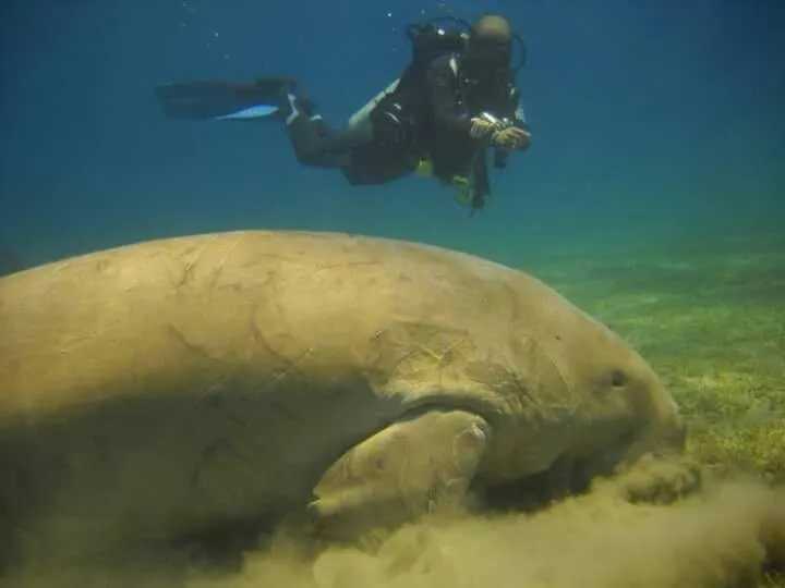 Deep south Eco-lodge