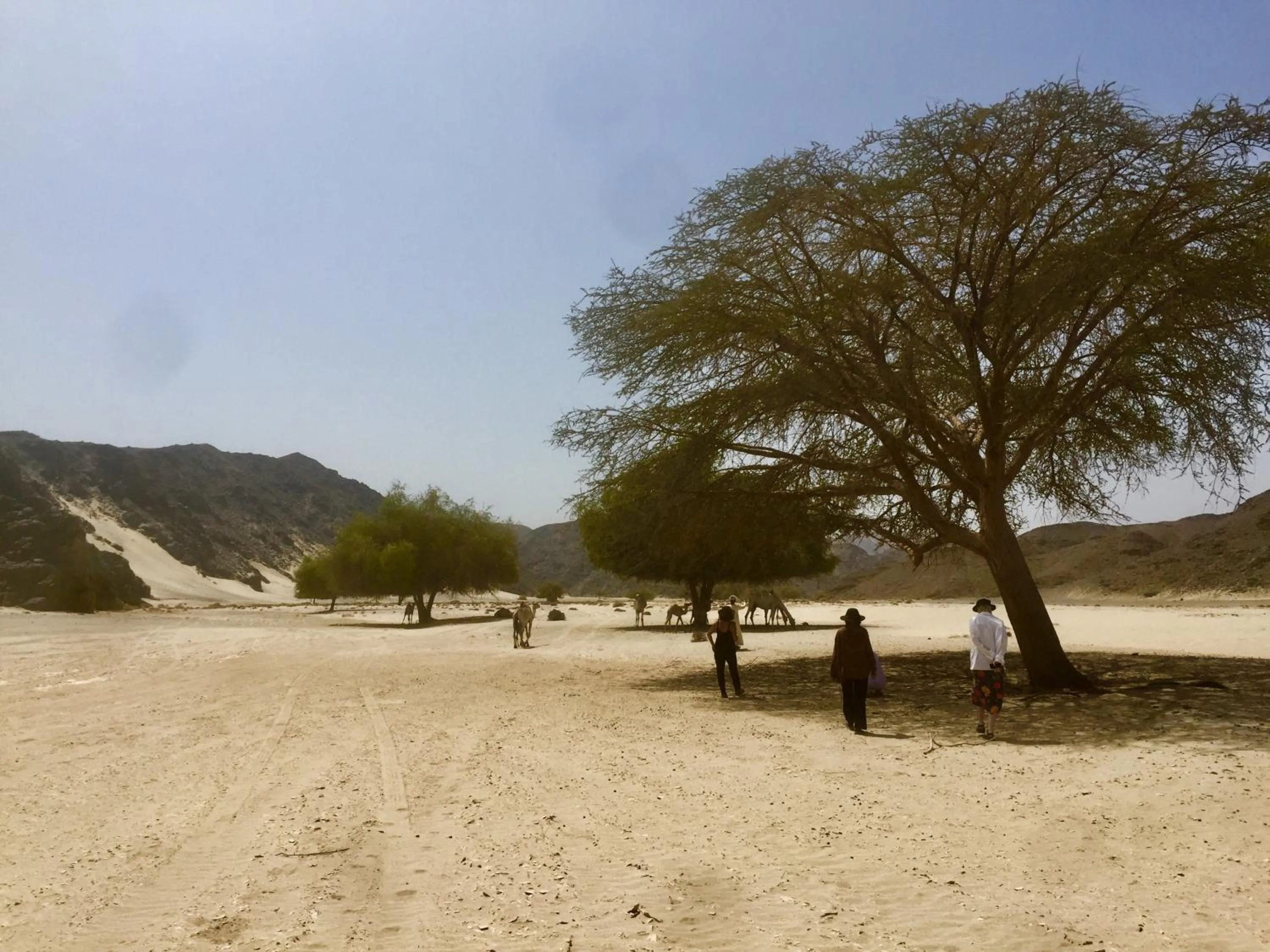 Deep south Eco-lodge