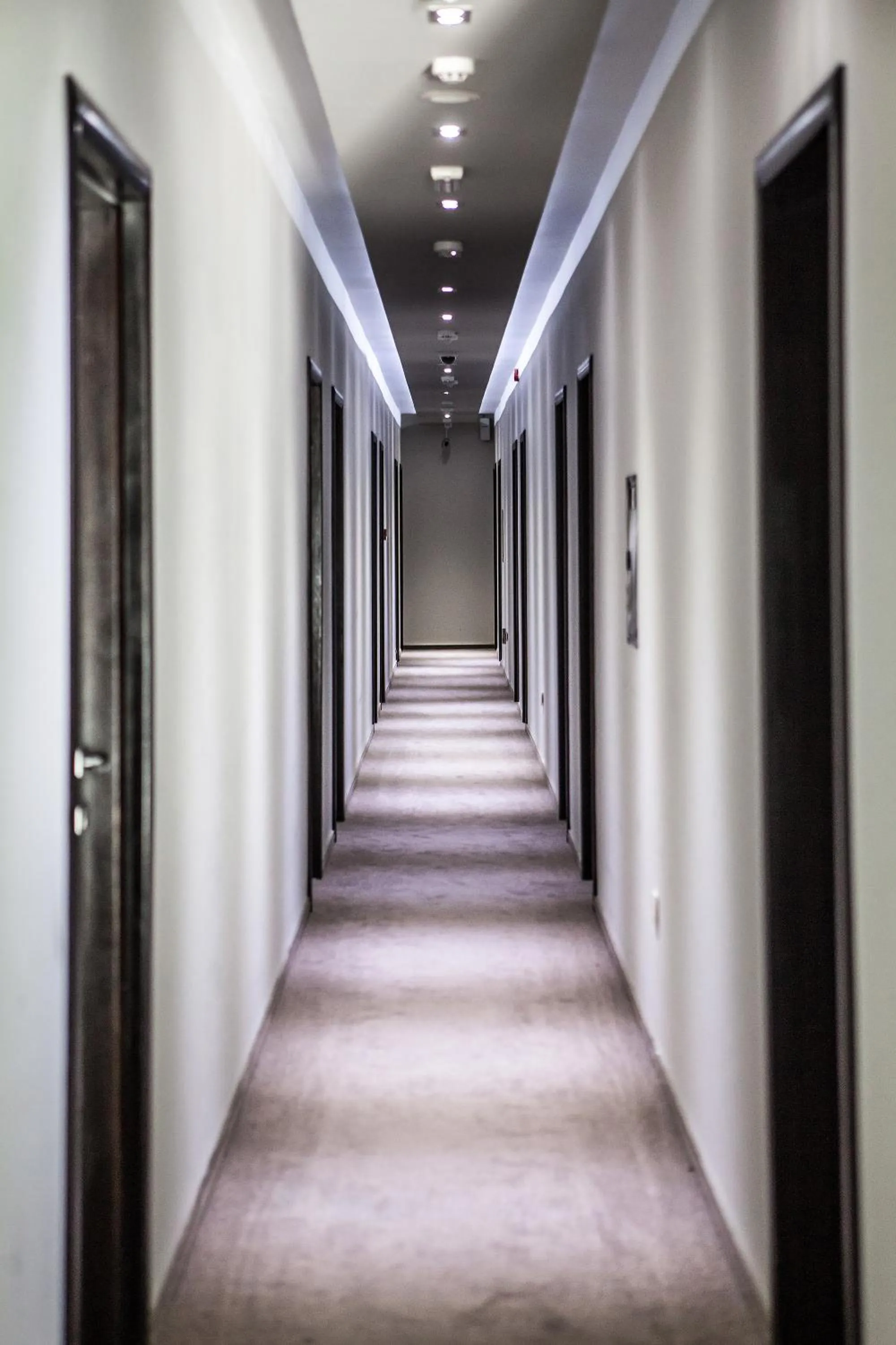 Other in Hotel Terminus