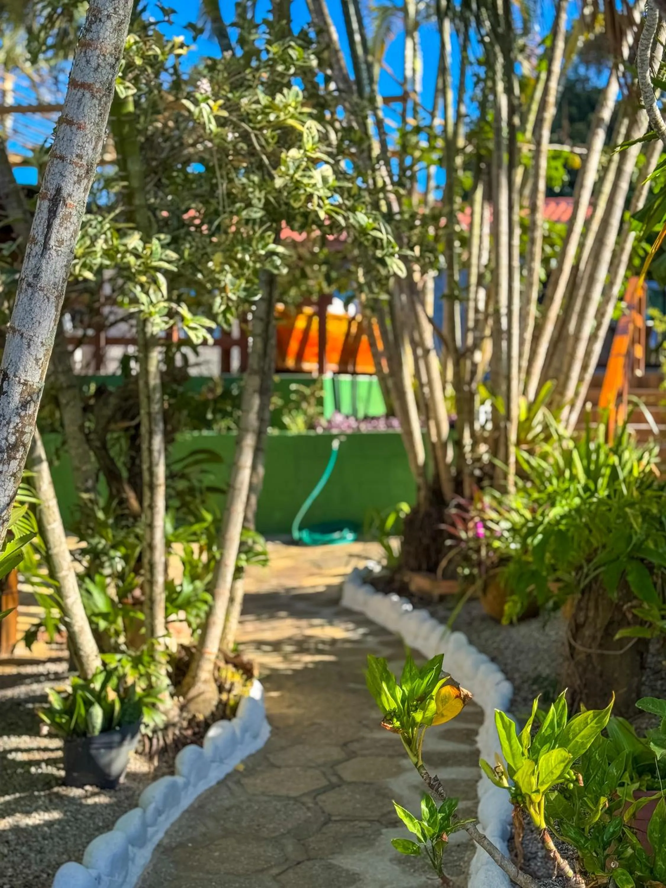 Garden in Pousada Sonho de Geribá