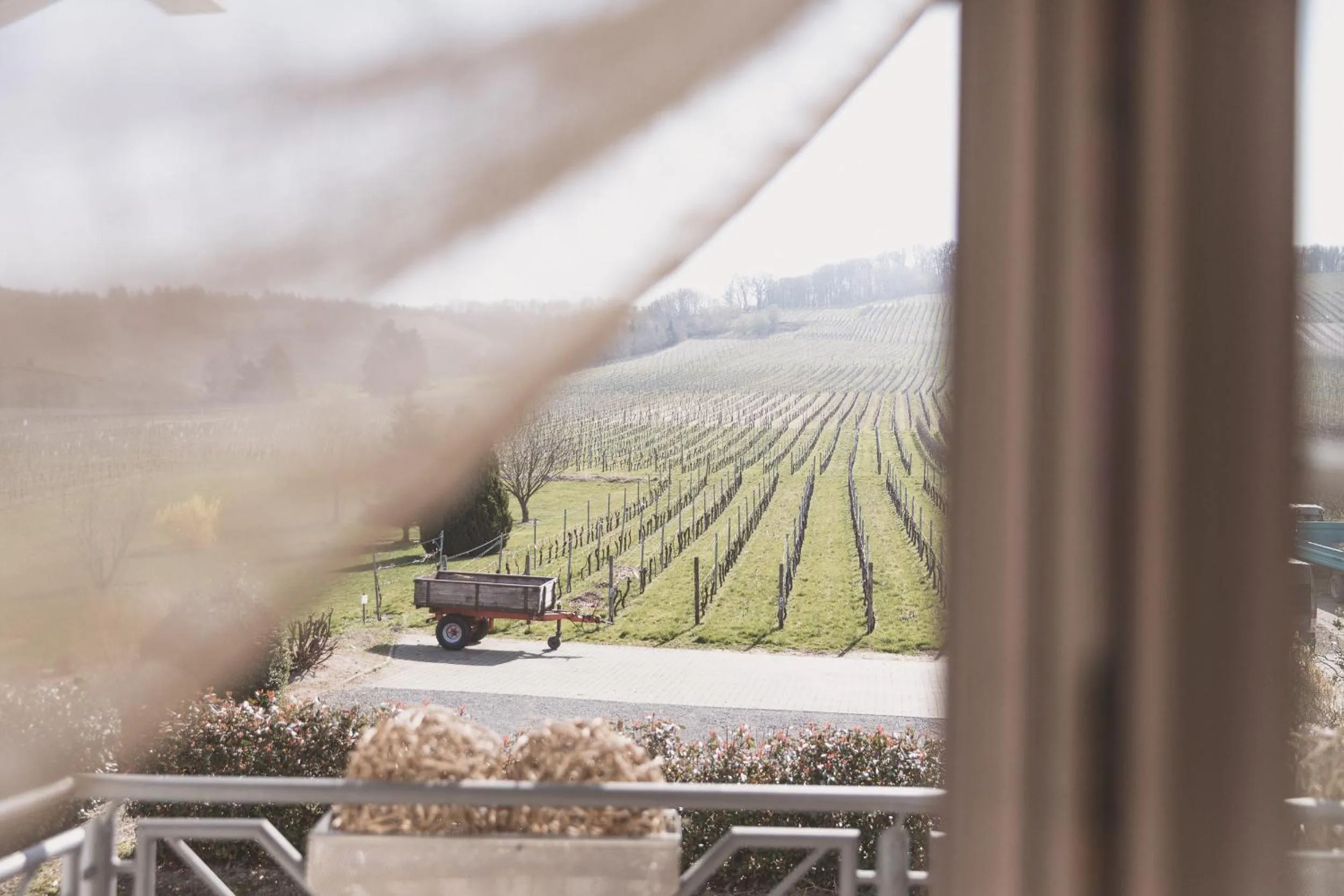 Balcony/Terrace in Weingut Gehlen-Cornelius
