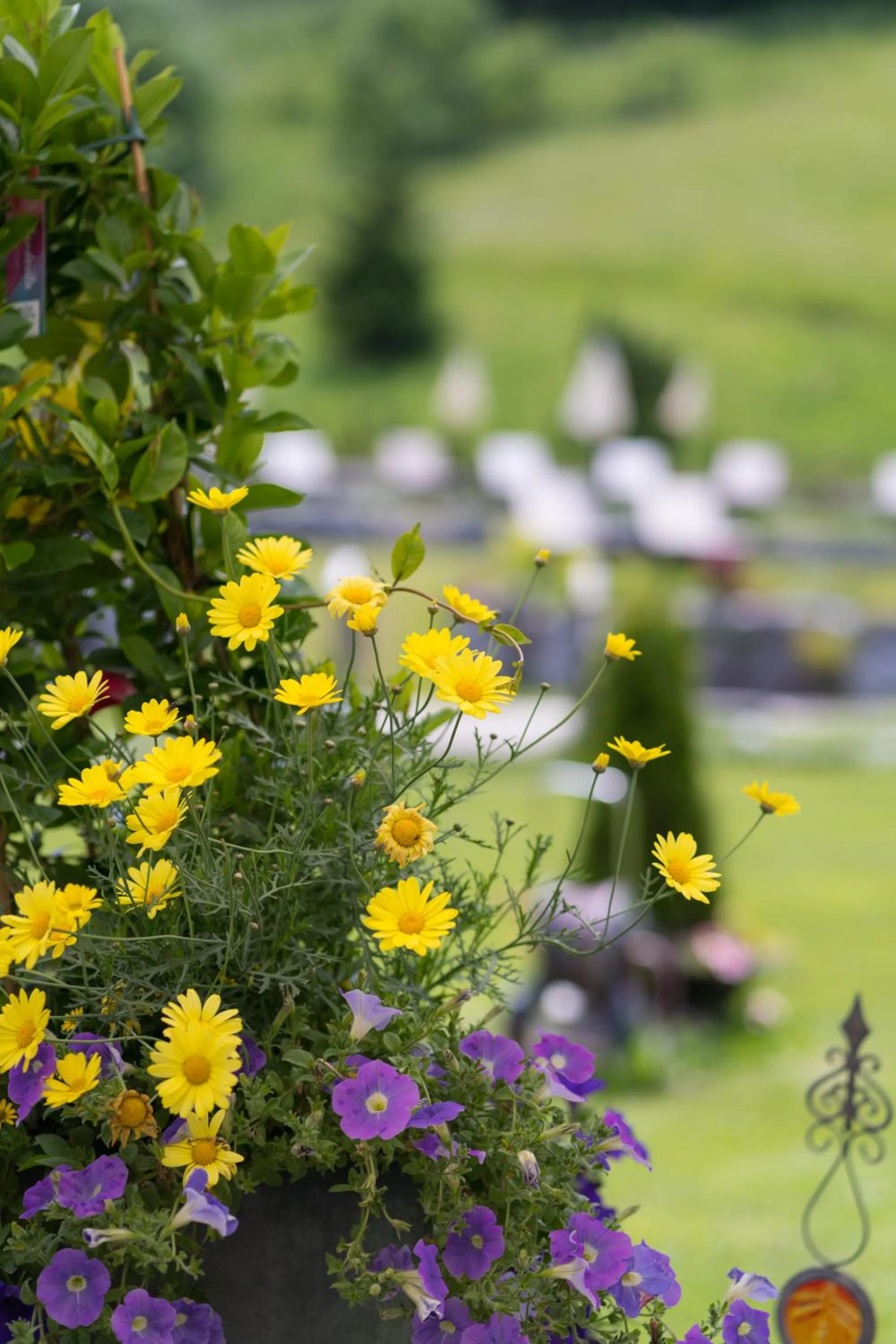 Garden in Alpinresort Schillerkopf