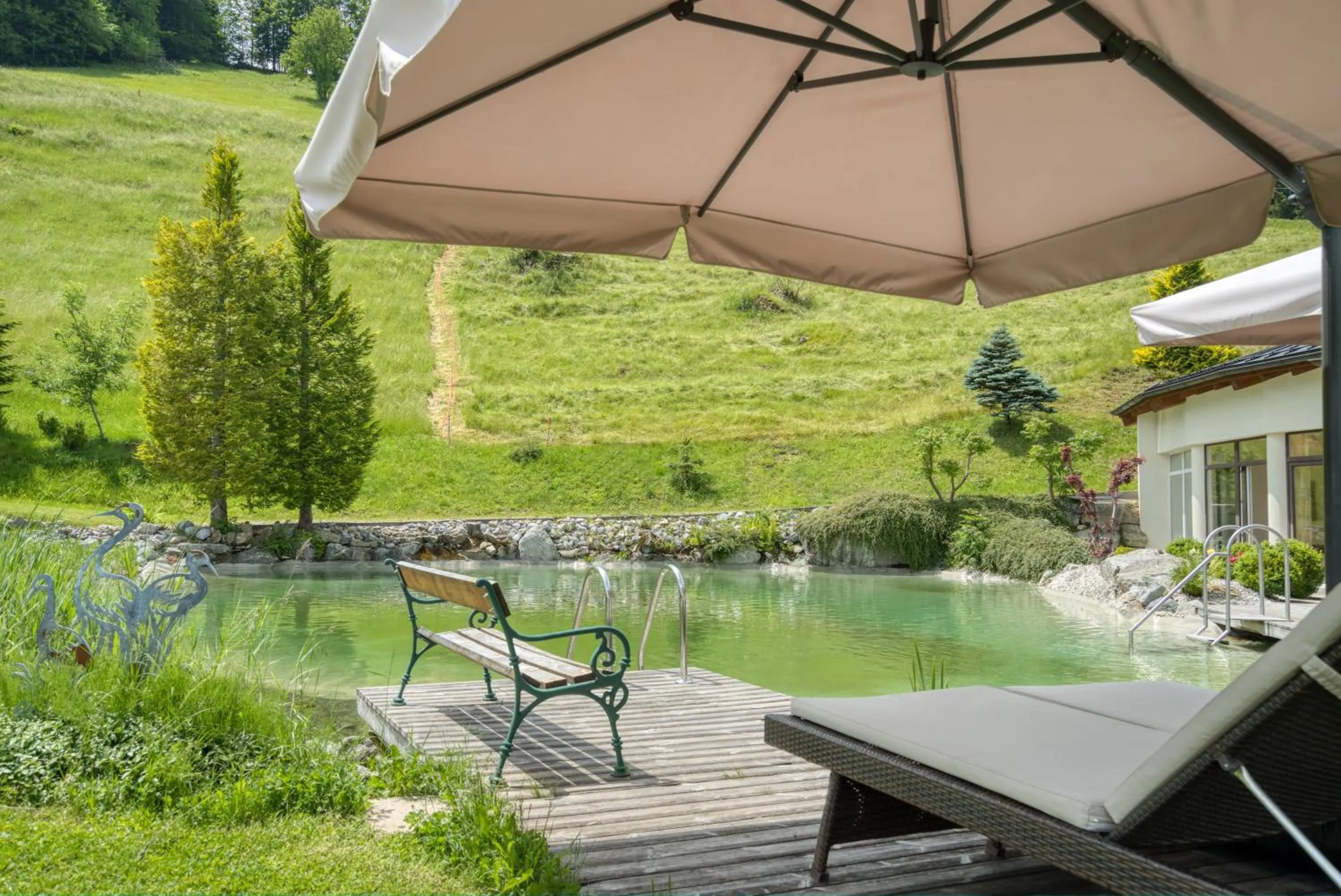 Swimming pool in Alpinresort Schillerkopf