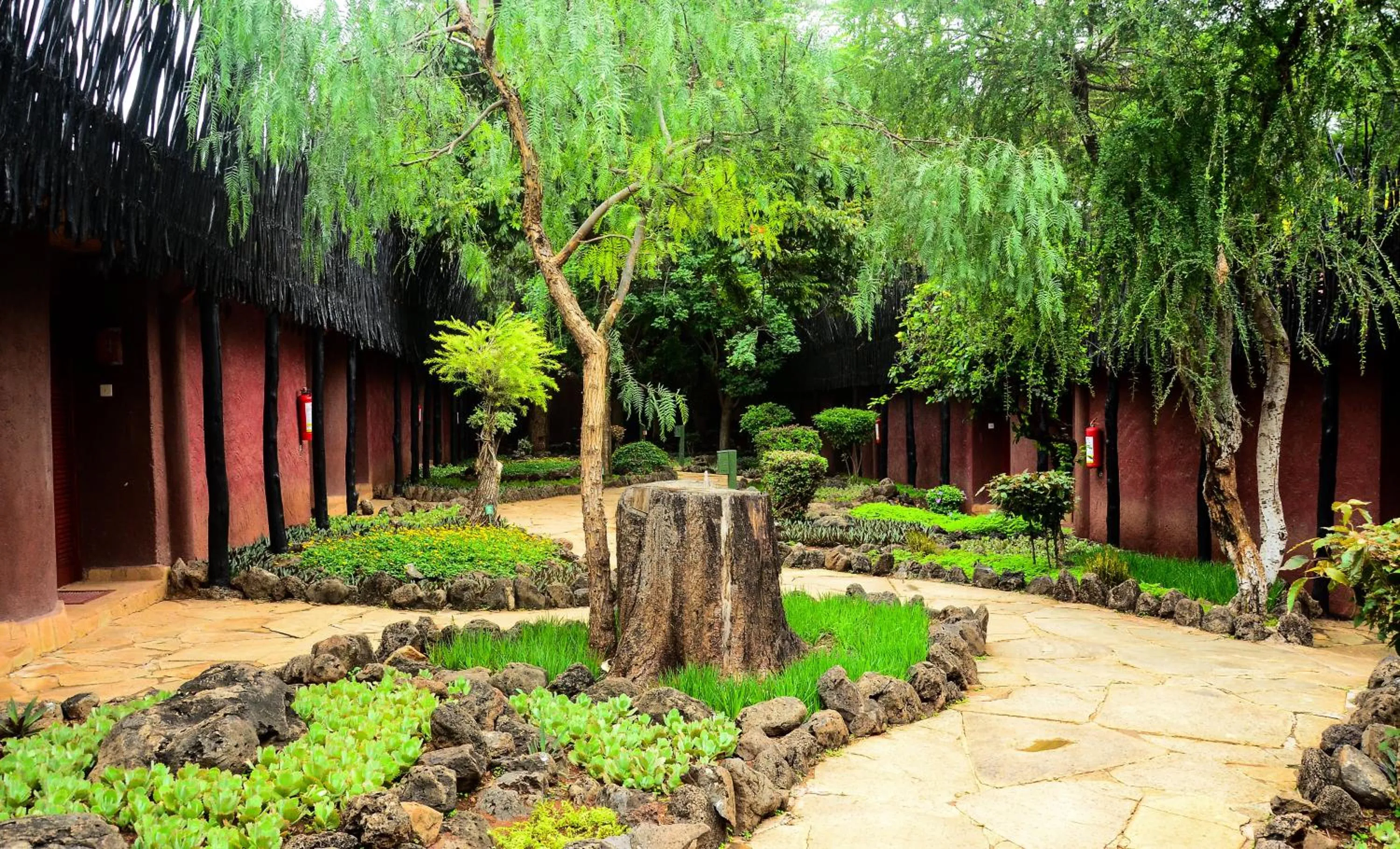 Property building in Amboseli Serena Safari Lodge