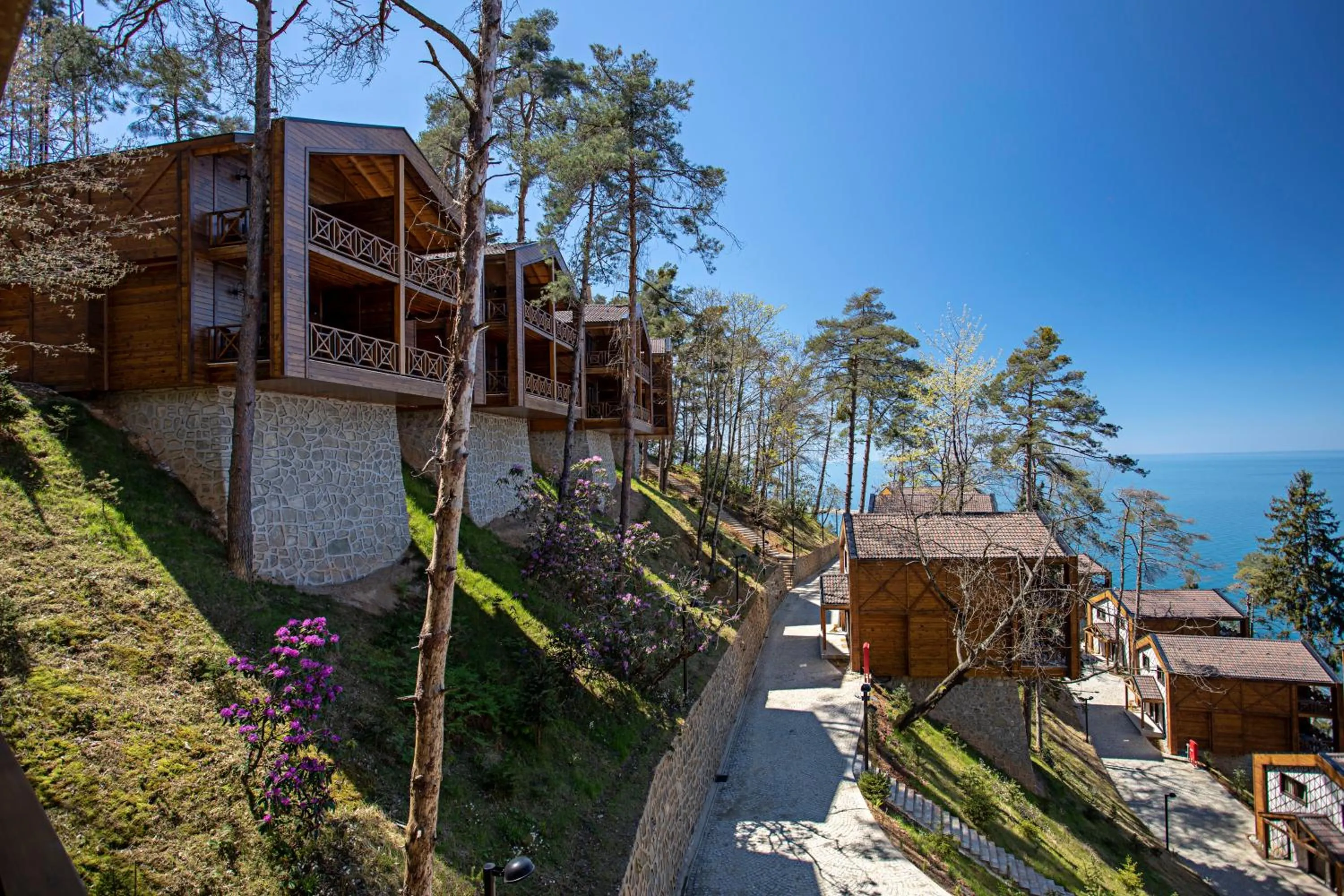 On site in Hancioglu Orman Evleri & Hotel