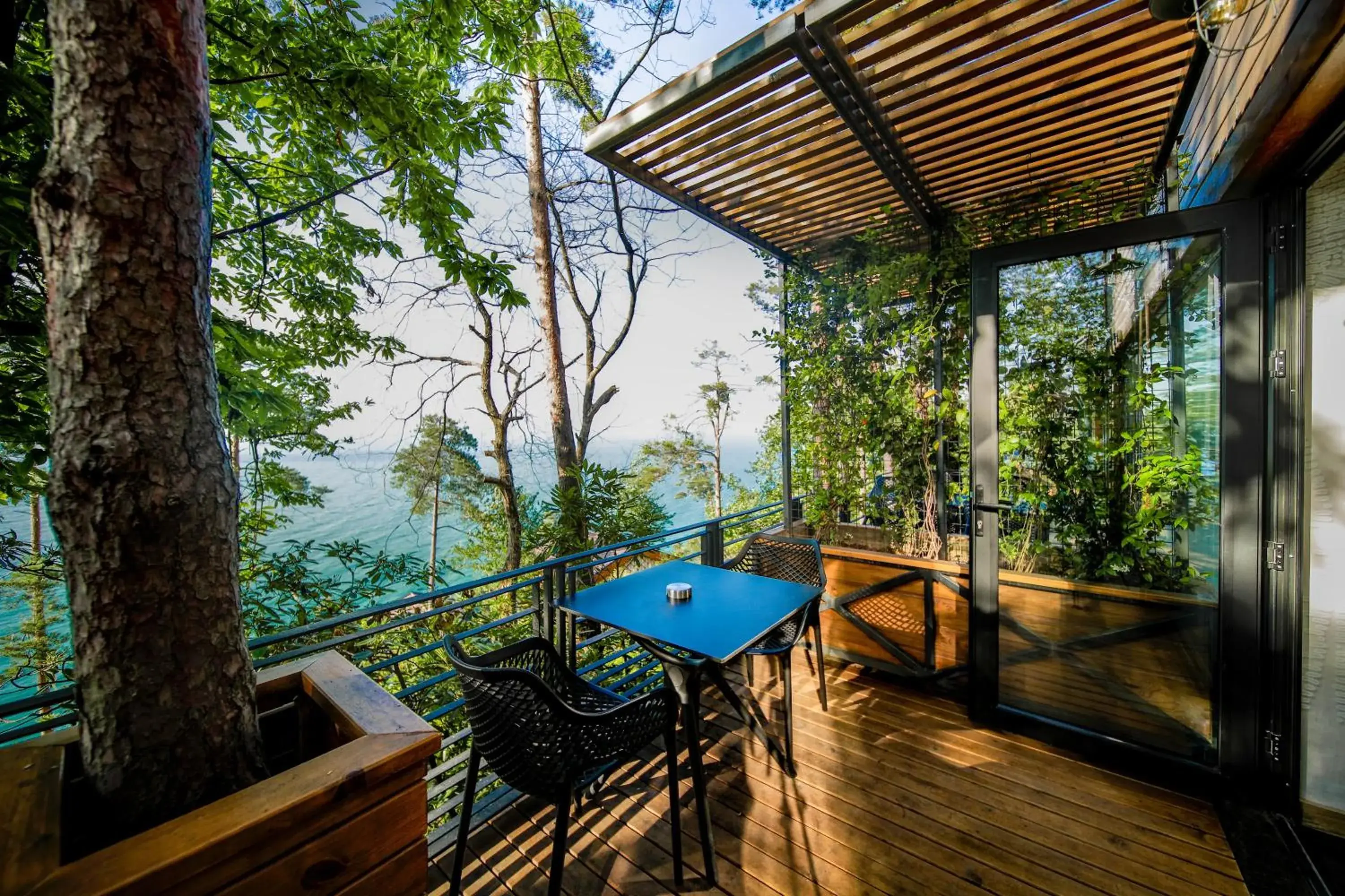 Deluxe Junior Suite in Hancioglu Orman Evleri & Hotel Deluxe Junior Suite in Hancioglu Orman Evleri & Hotel