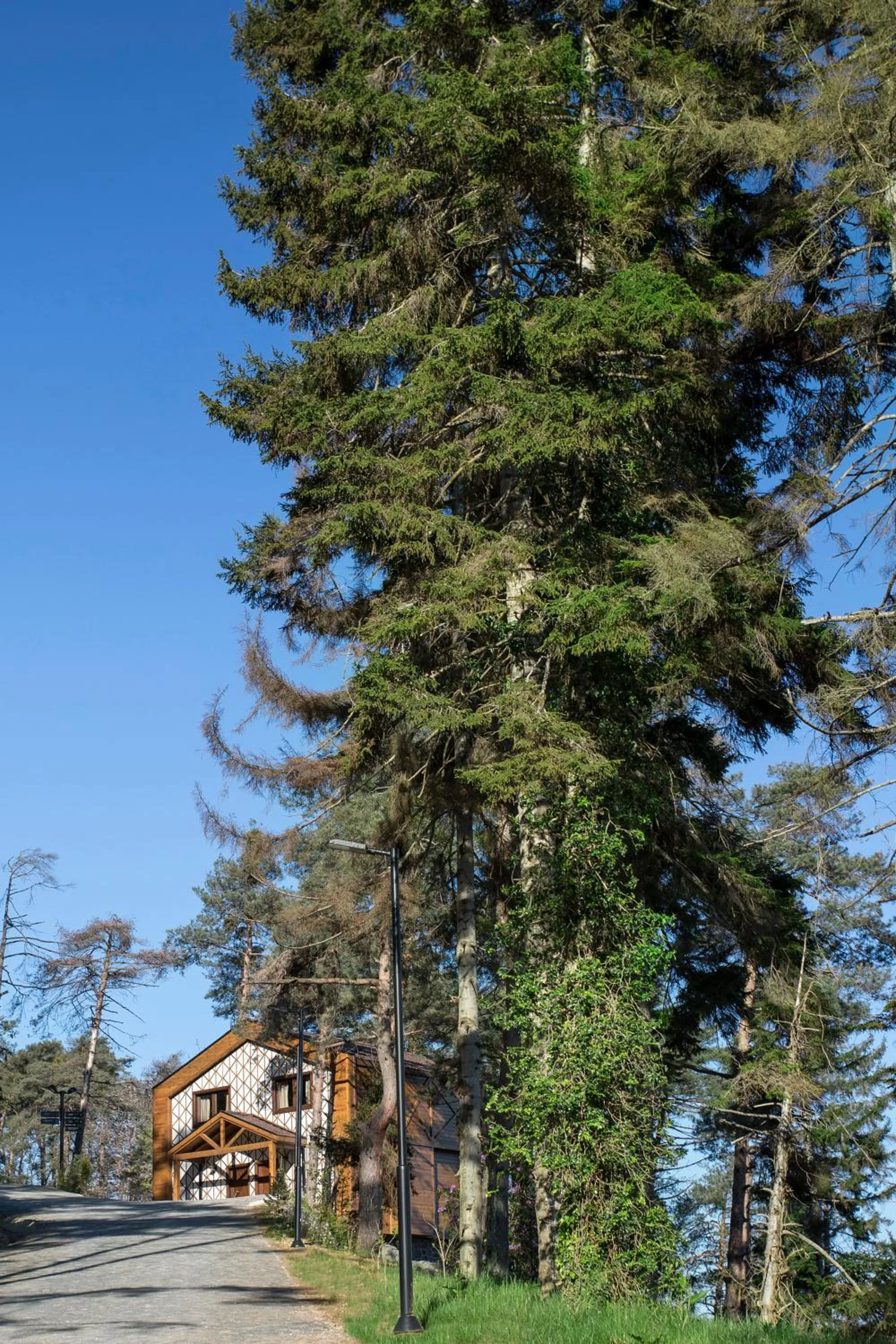 Facade/entrance in Hancioglu Orman Evleri & Hotel