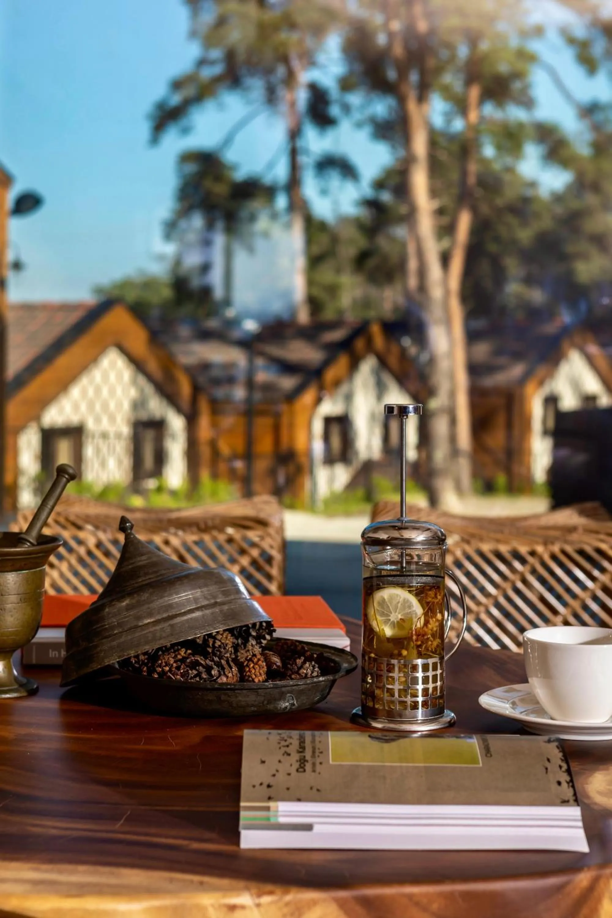 Lobby or reception in Hancioglu Orman Evleri & Hotel