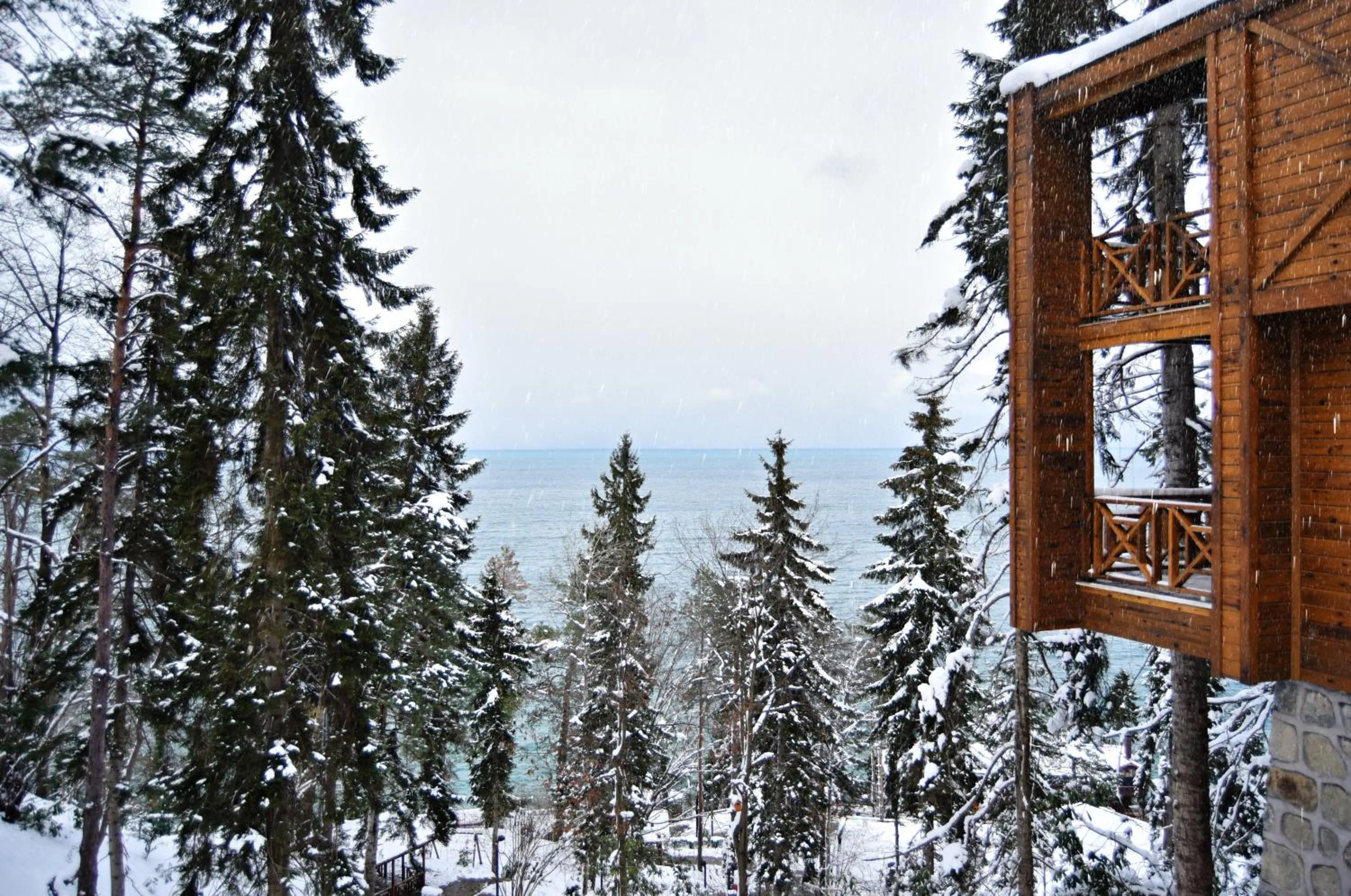 Natural landscape in Hancioglu Orman Evleri & Hotel
