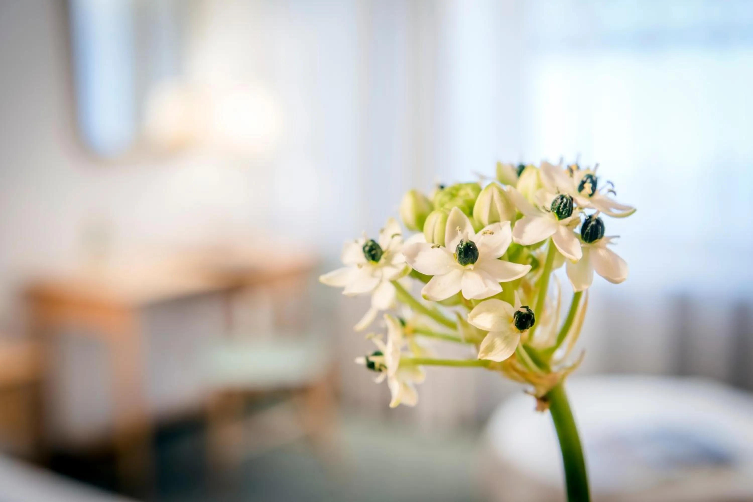 Other in Cresta.Alpin.Sport.Hotel