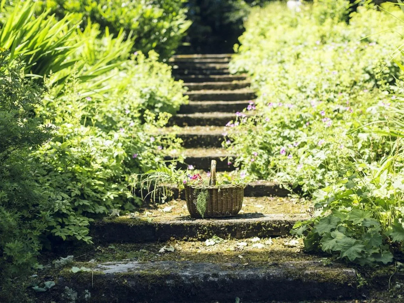 Property building in Clonalis House - Guesthouse