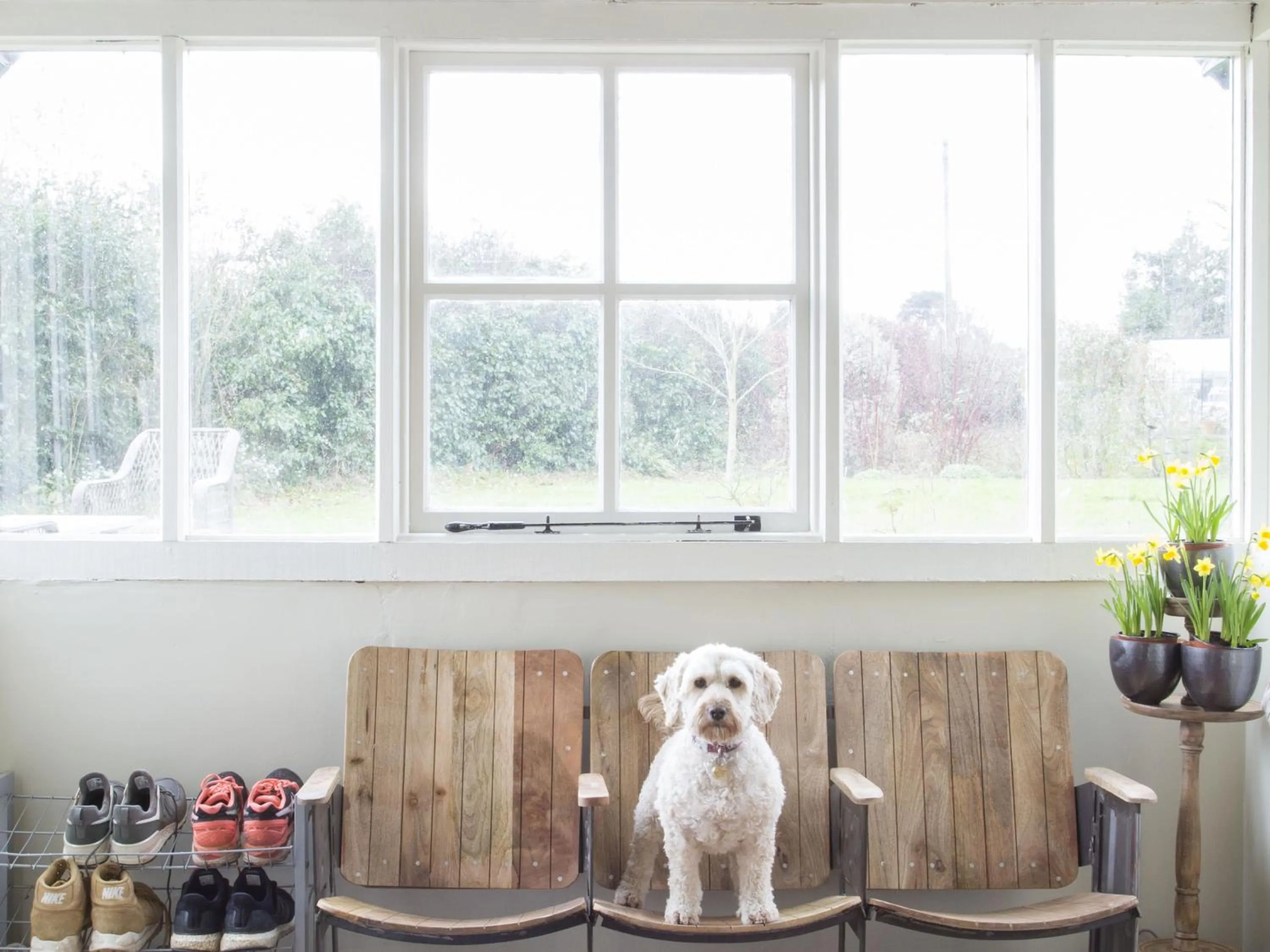 Lobby or reception in Forthay Bed and Breakfast