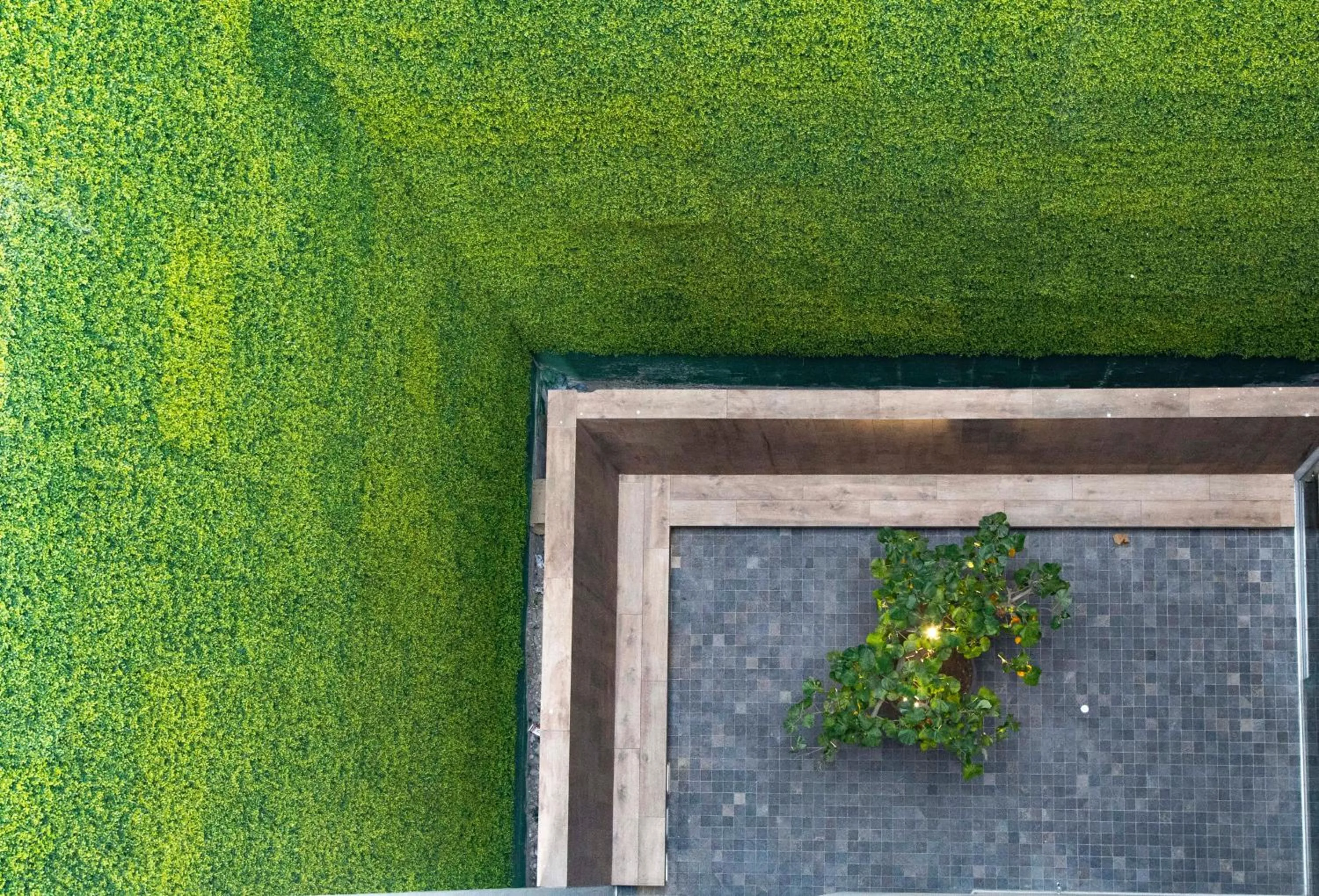 Patio in Tierra Viva Miraflores Centro