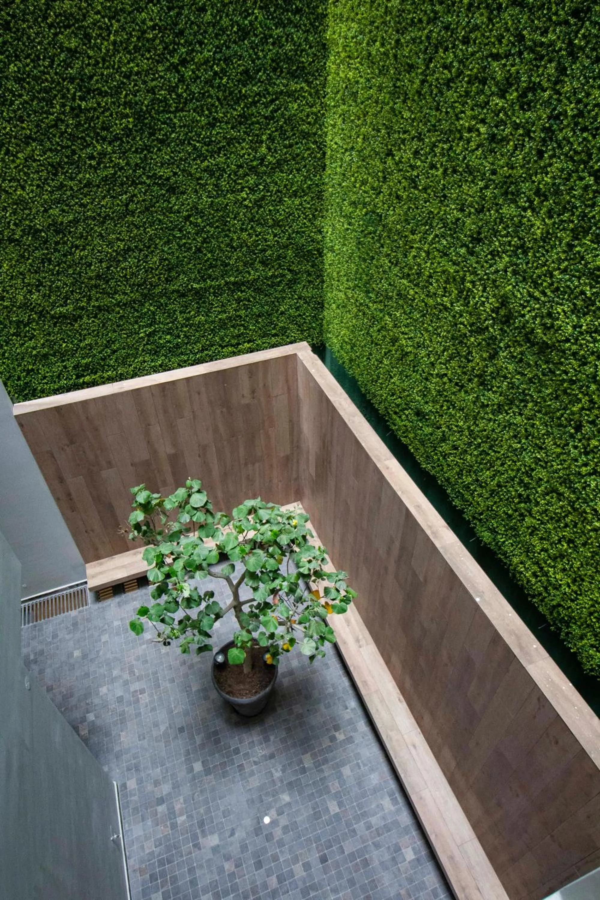 Patio in Tierra Viva Miraflores Centro