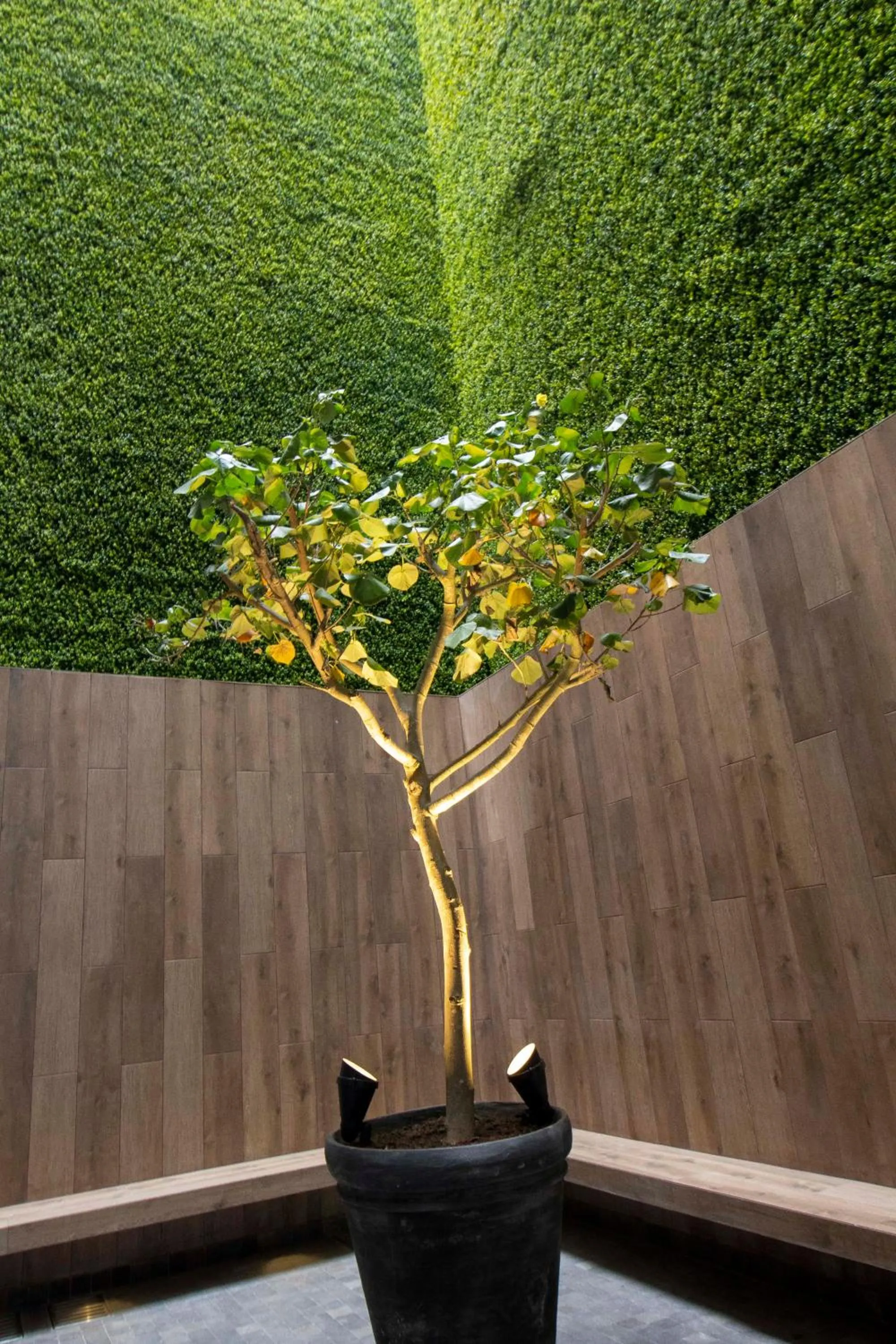 Patio in Tierra Viva Miraflores Centro