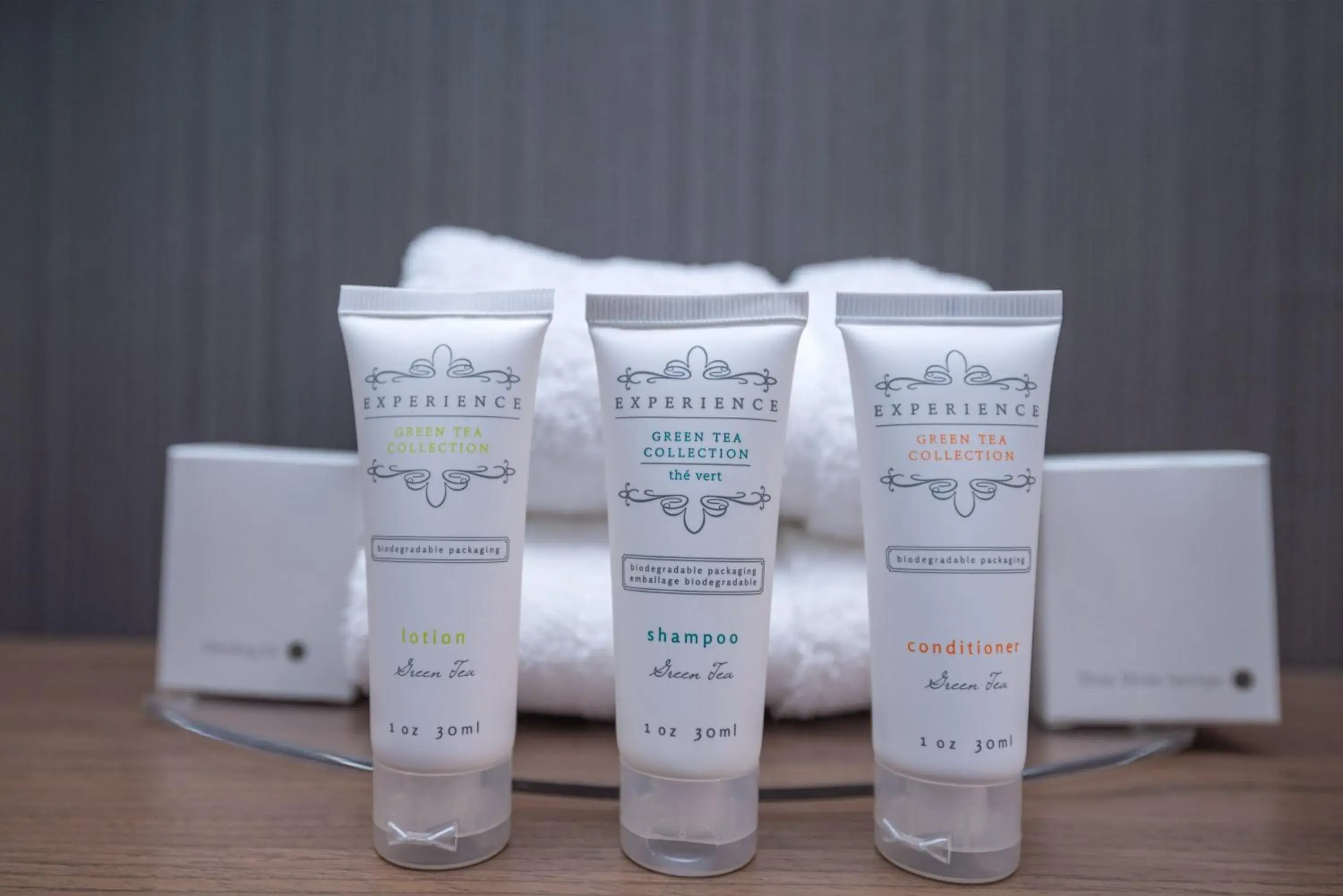 Standard Room, 2 Queen Beds, Sofa Bed in Sandman Signature Ottawa Airport Hotel Standard Room, 2 Queen Beds, Sofa Bed in Sandman Signature Ottawa Airport Hotel