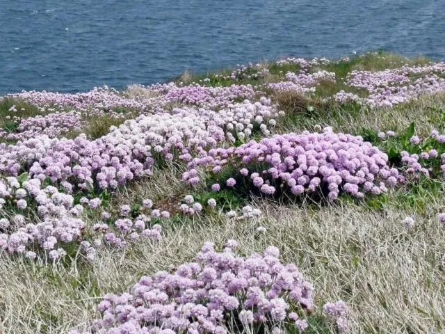 Area and facilities in Hotel De Bretagne