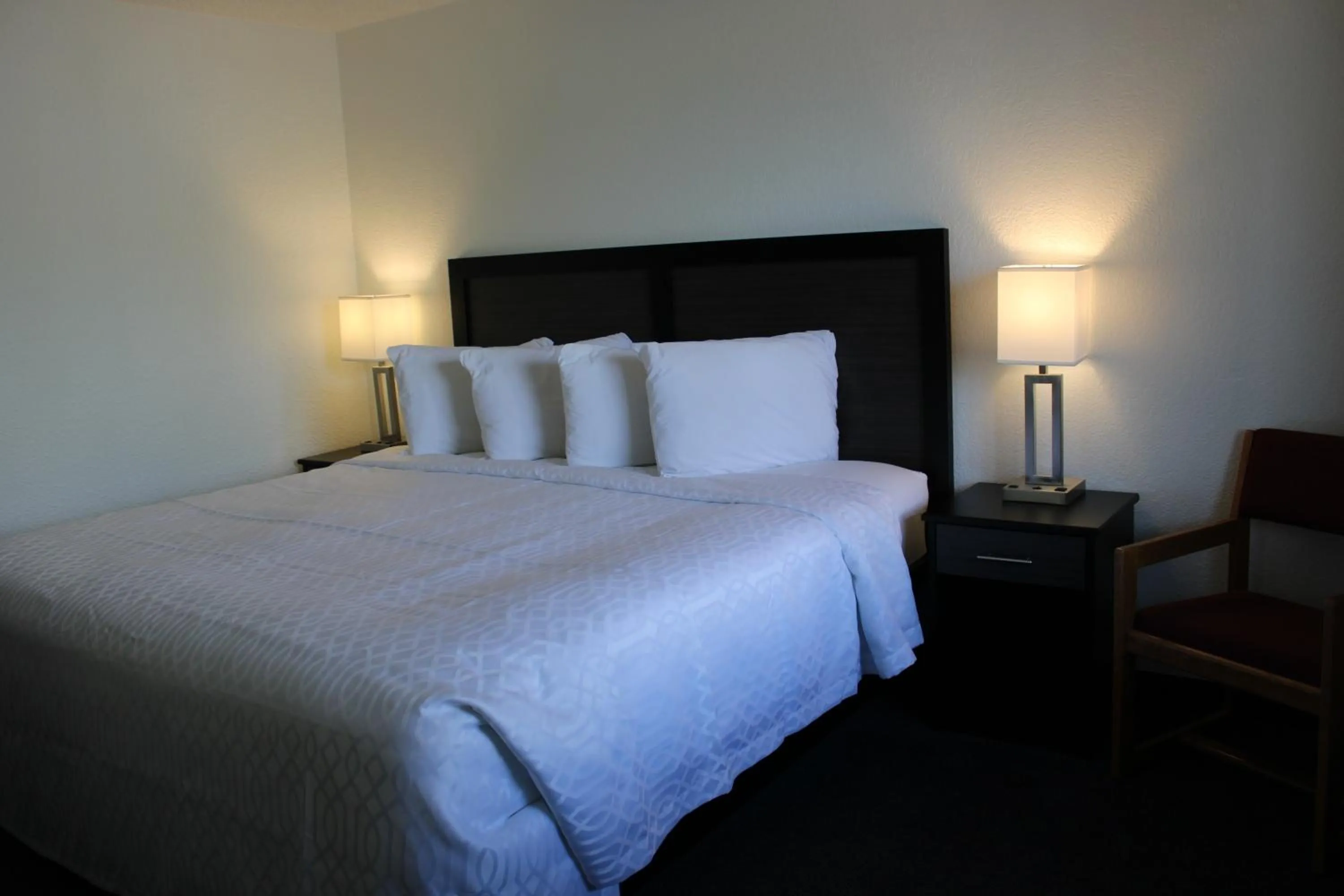 Bed in The Sturgis Motel