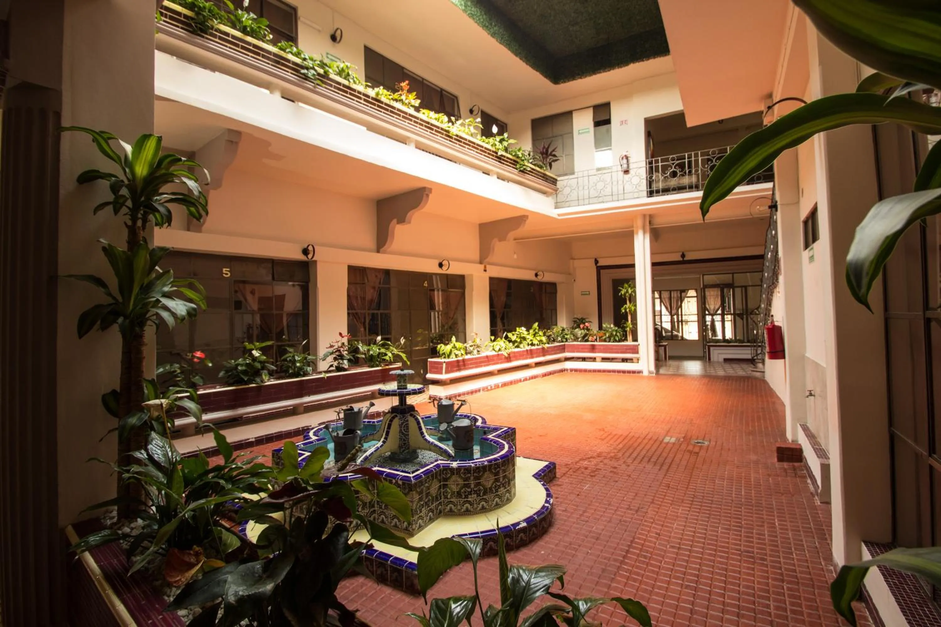 Garden in Casa de Juan Hostal