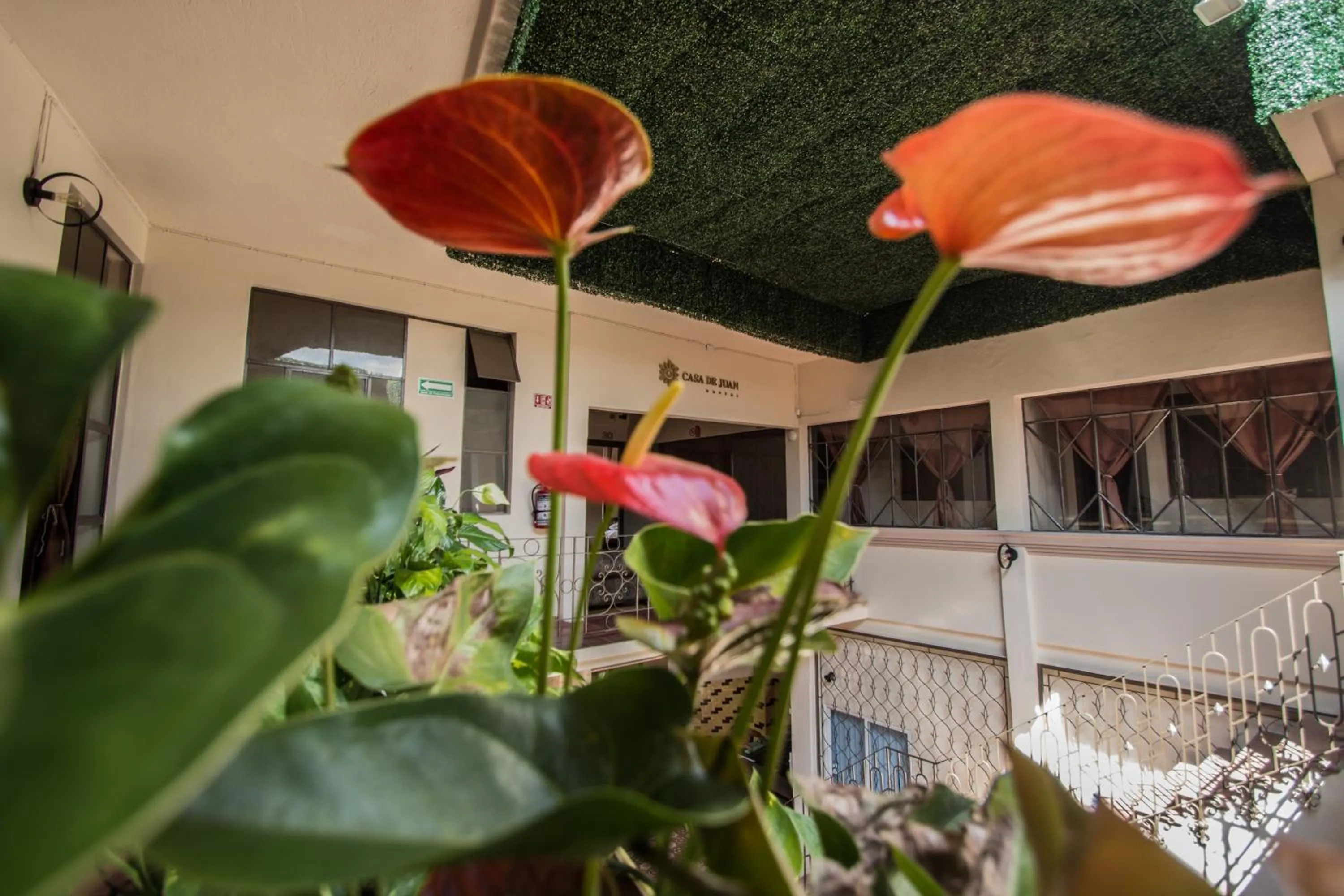 Decorative detail in Casa de Juan Hostal