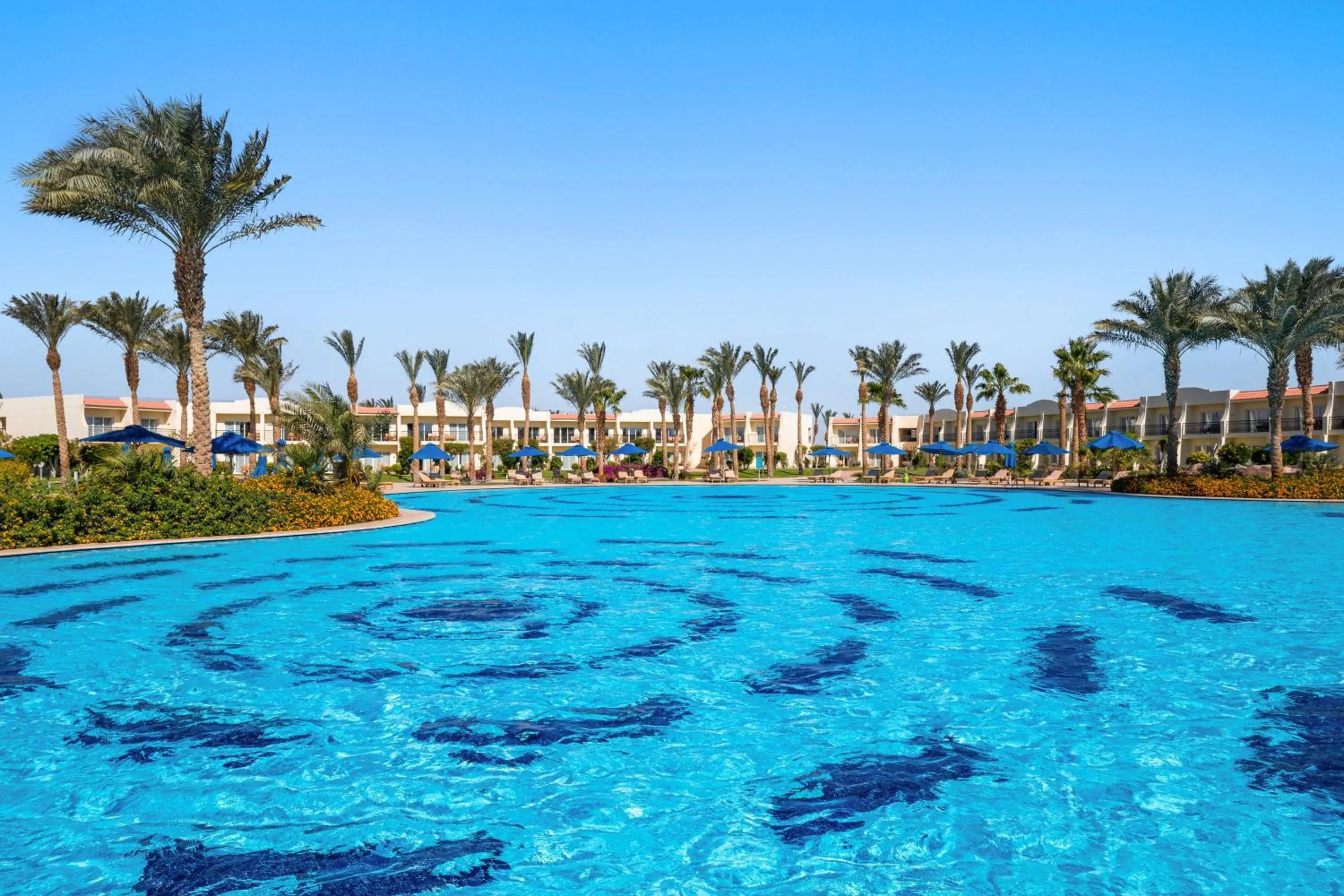 Pool view in DoubleTree by Hilton Sharks Bay Resort