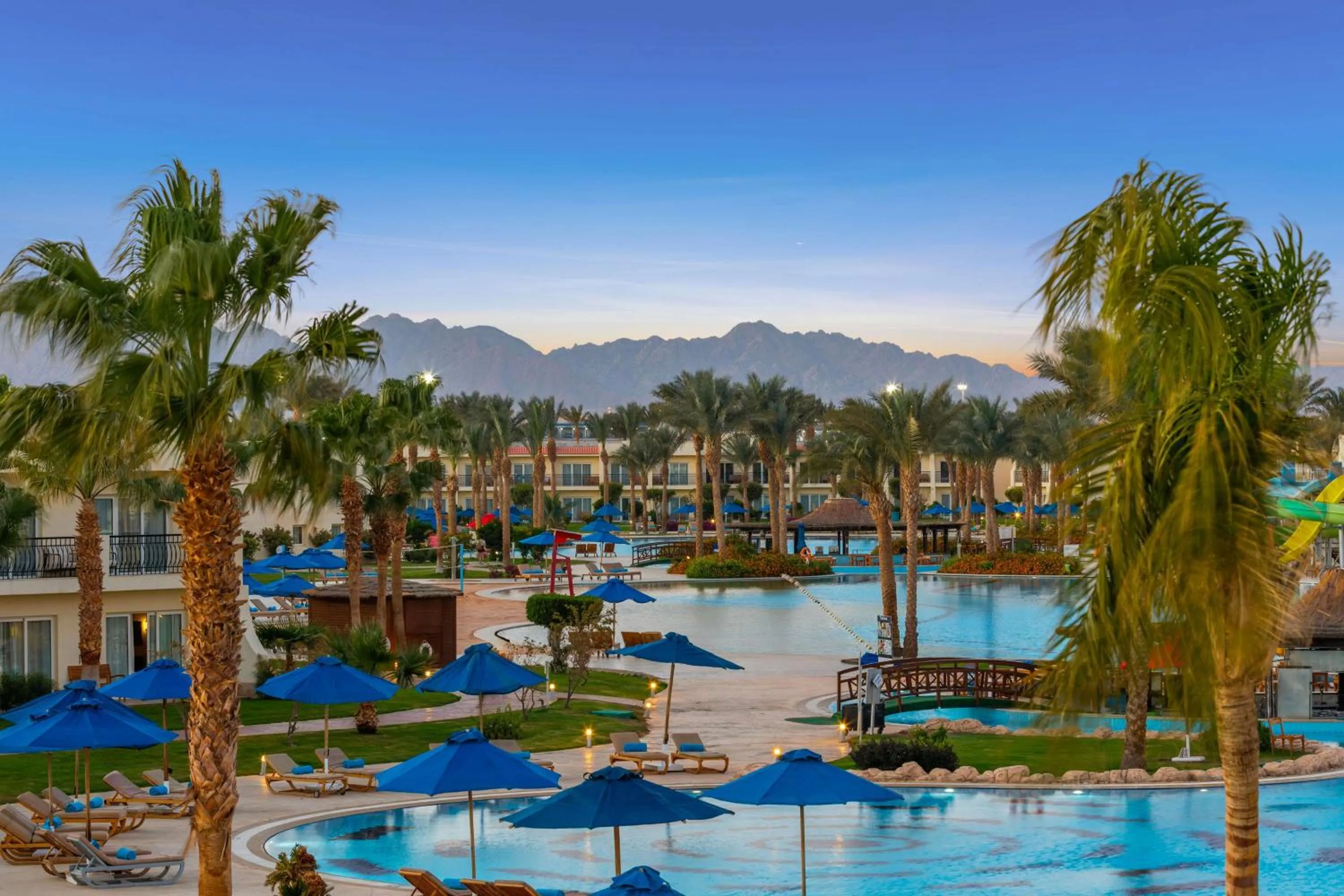 Pool view in DoubleTree by Hilton Sharks Bay Resort