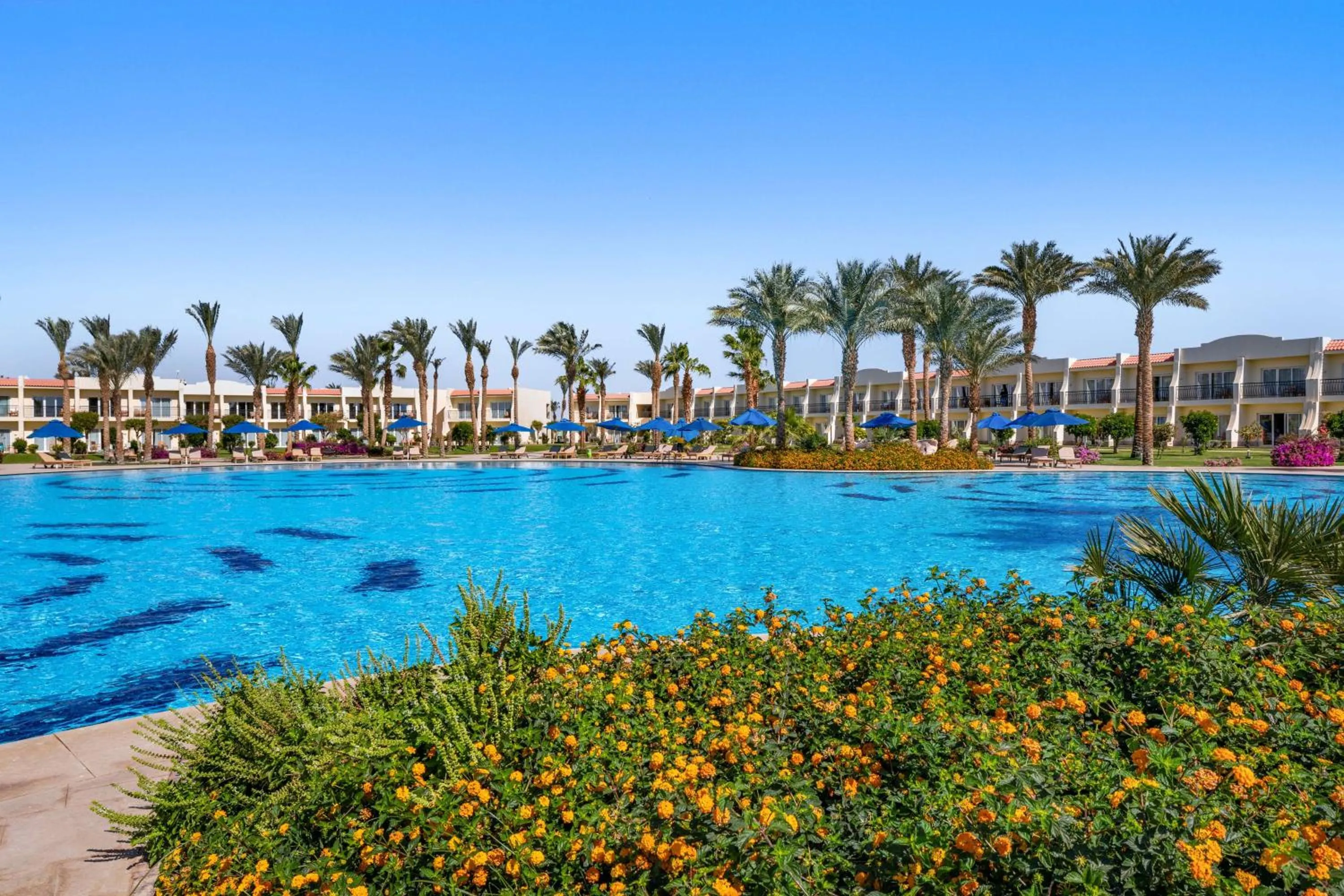 Pool view in DoubleTree by Hilton Sharks Bay Resort