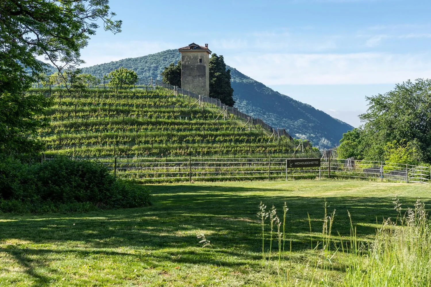 Garden in Resort Collina d'Oro - Hotel, Residence & Spa