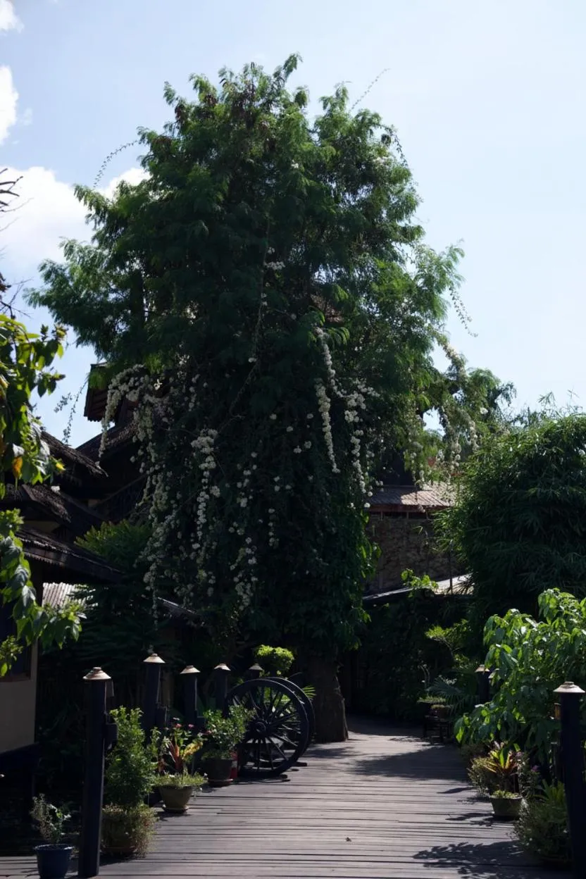 Garden in ViewPoint Ecolodge