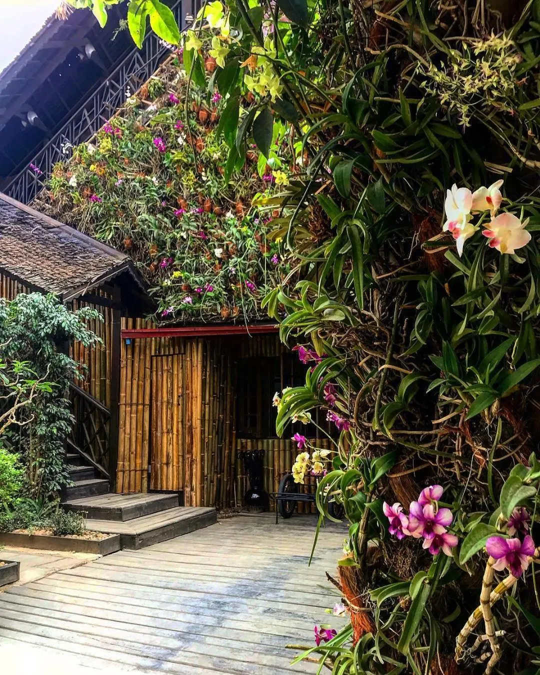 Garden view in ViewPoint Ecolodge