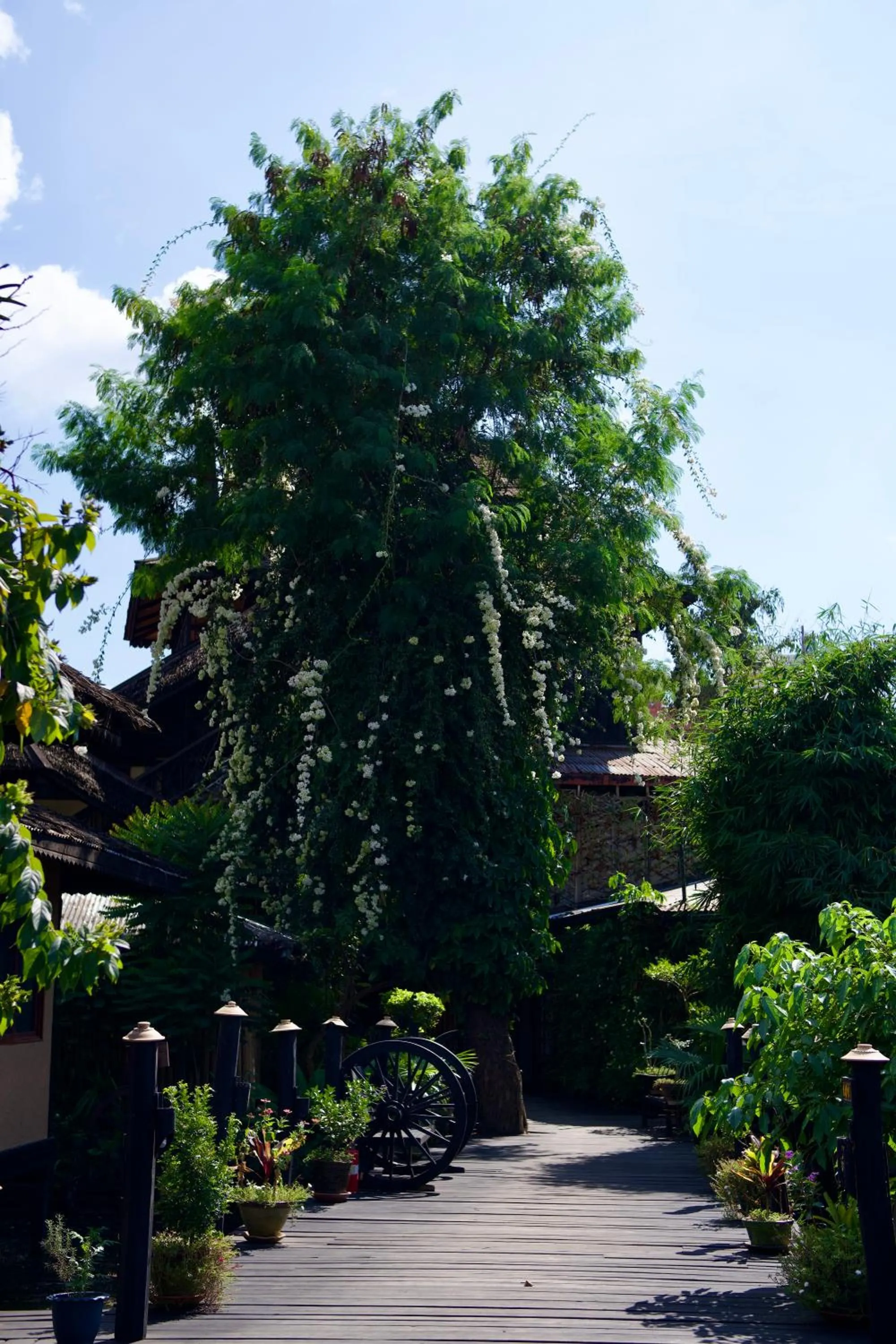 Spring in ViewPoint Ecolodge