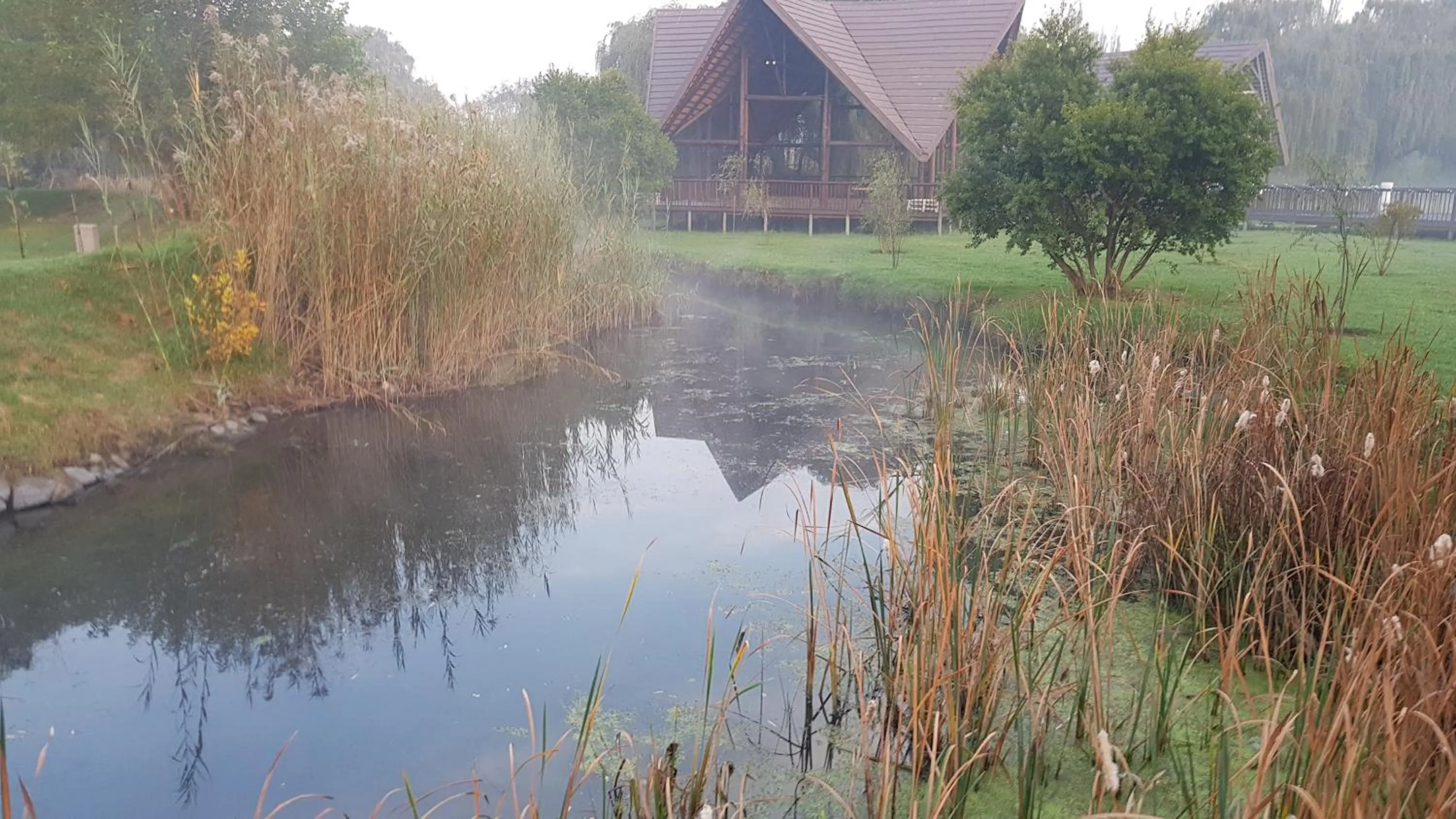 Natural landscape in Umuzi Lodge