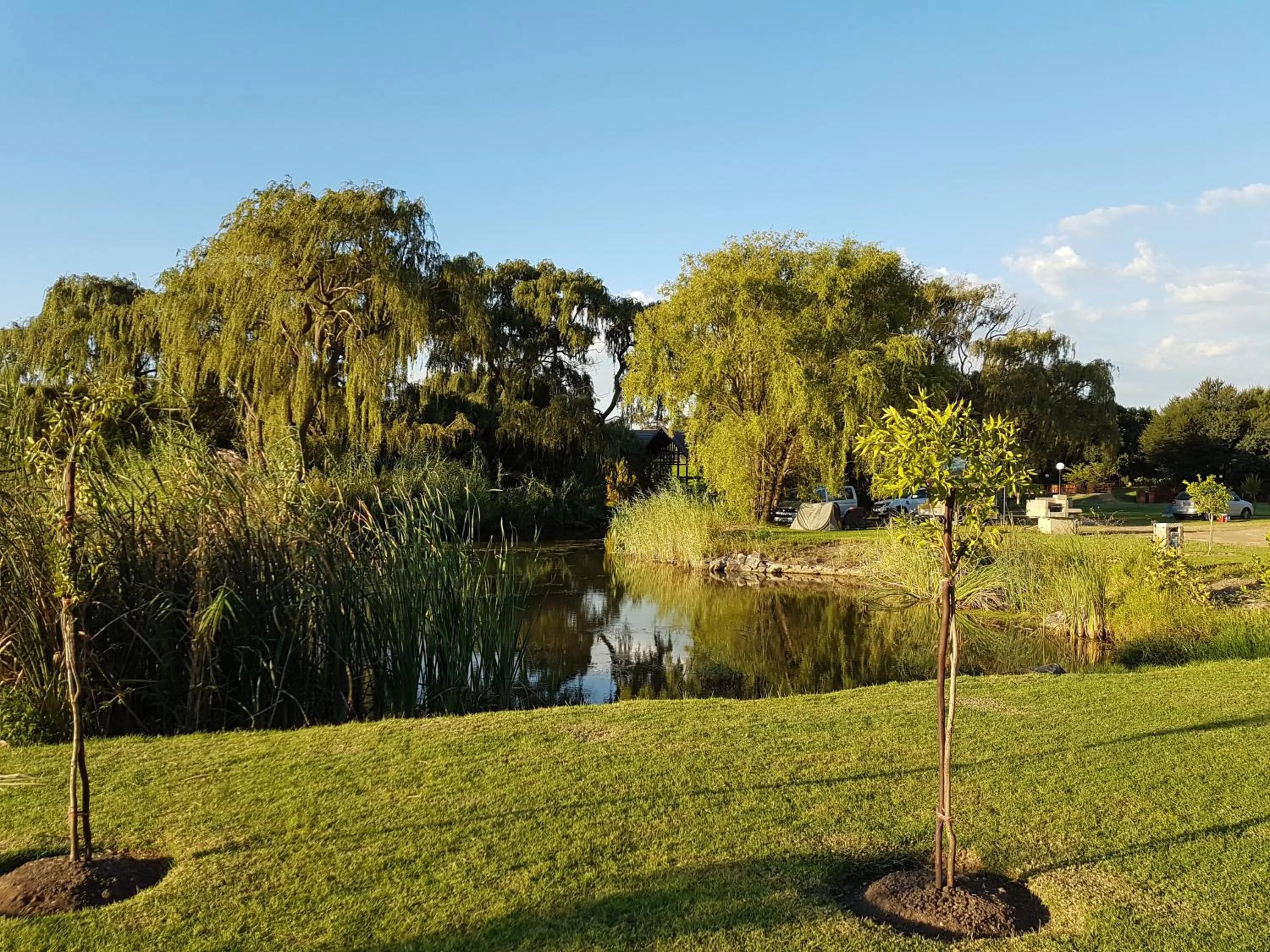 Natural landscape in Umuzi Lodge
