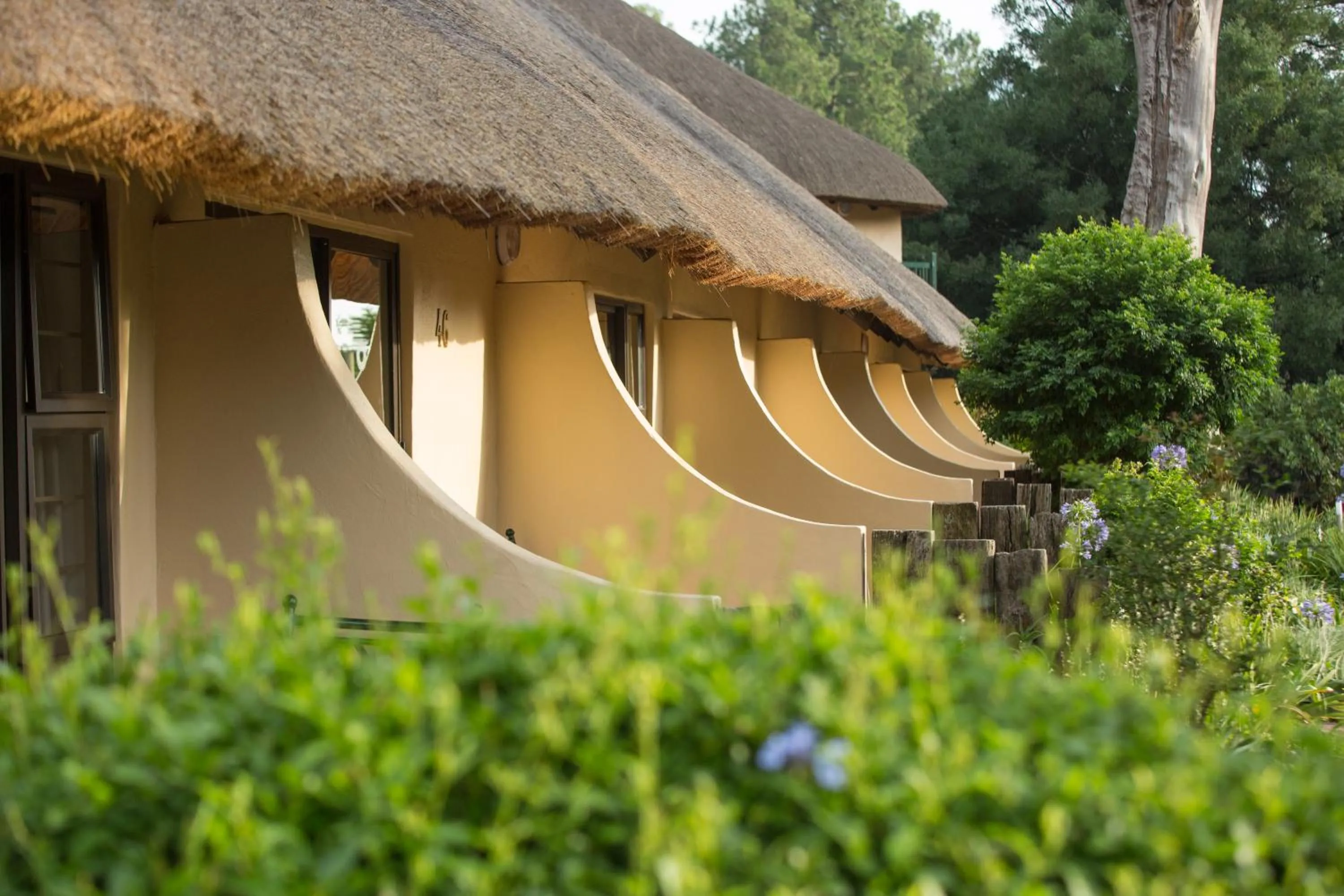 Property building in Cavern Resort & Spa