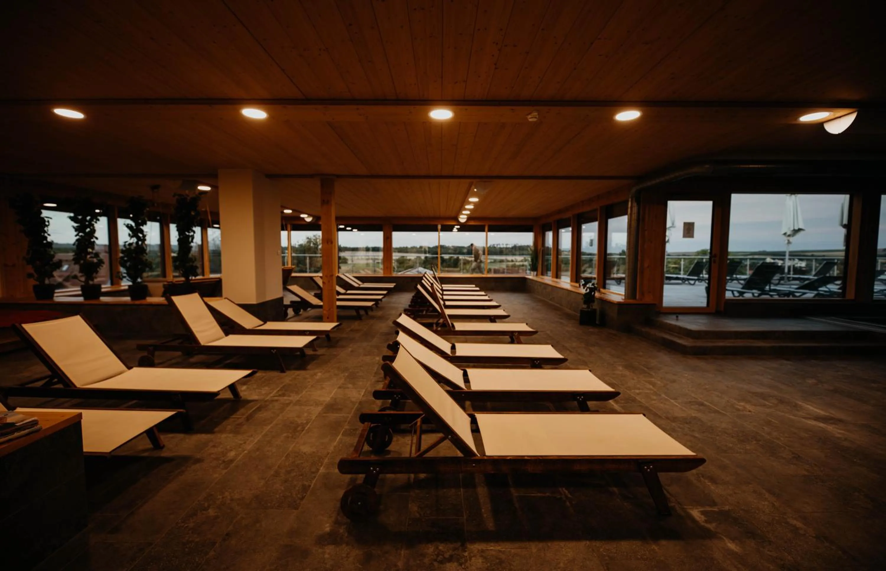 Swimming pool in Sonnenhotel Weingut Römmert Spa und Wellness