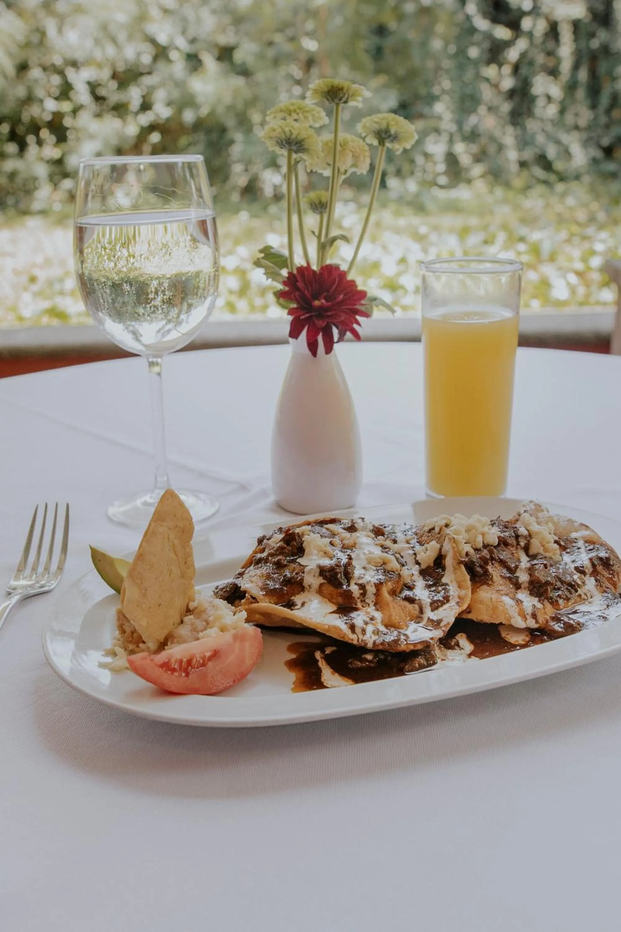 Hotel Hacienda la Venta