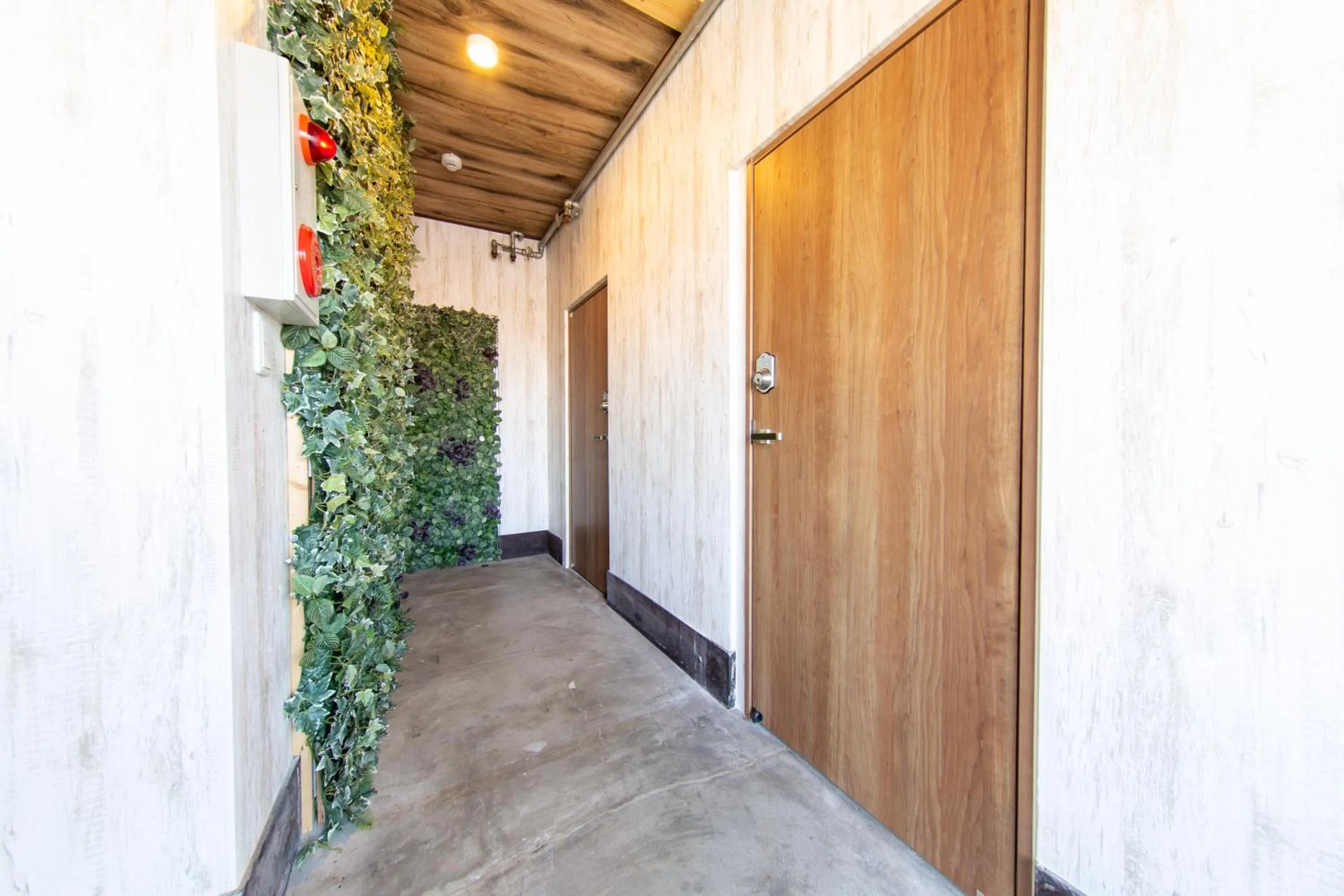 Guest House GORILLA!