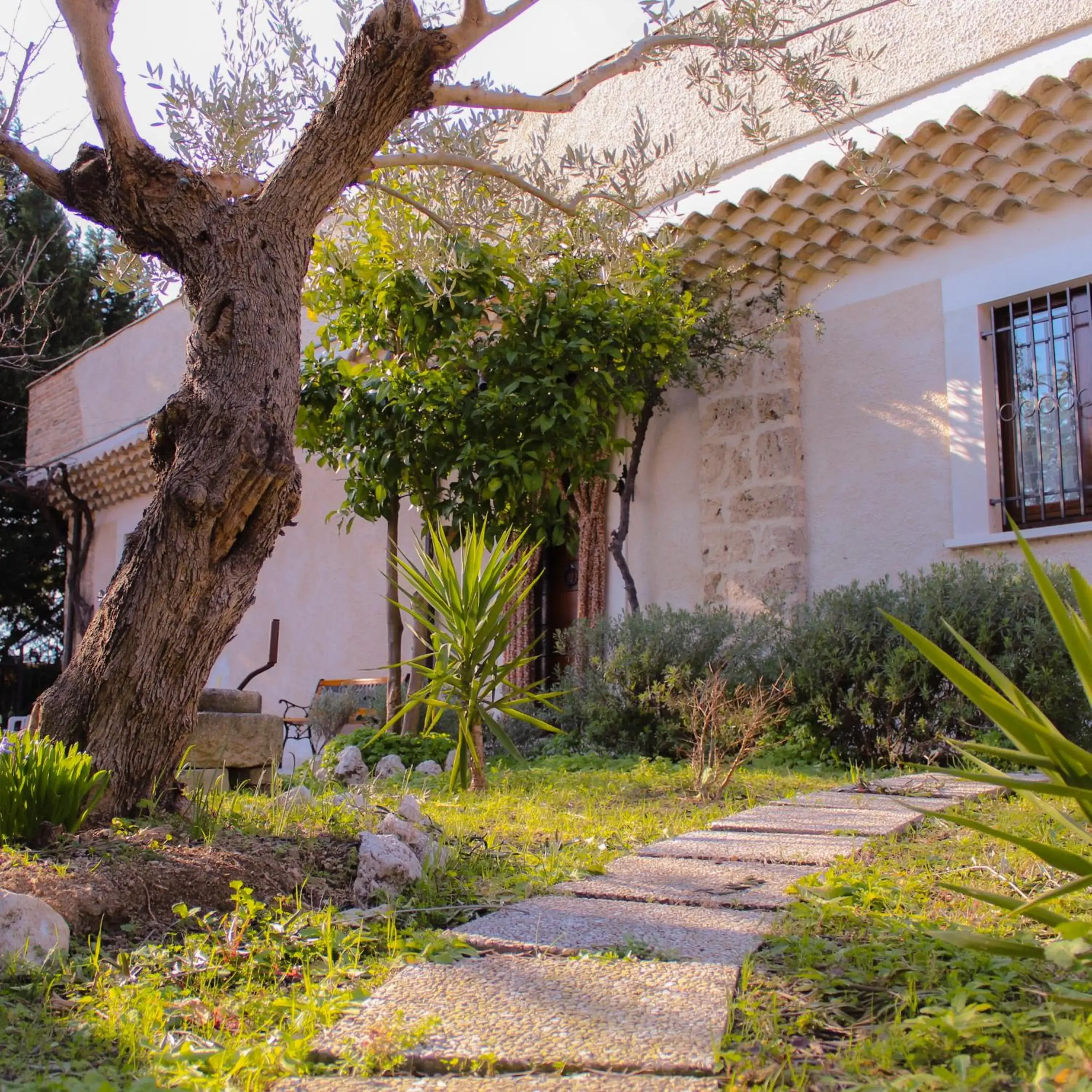 B&B La Masseria del '700 B&B La Masseria del '700