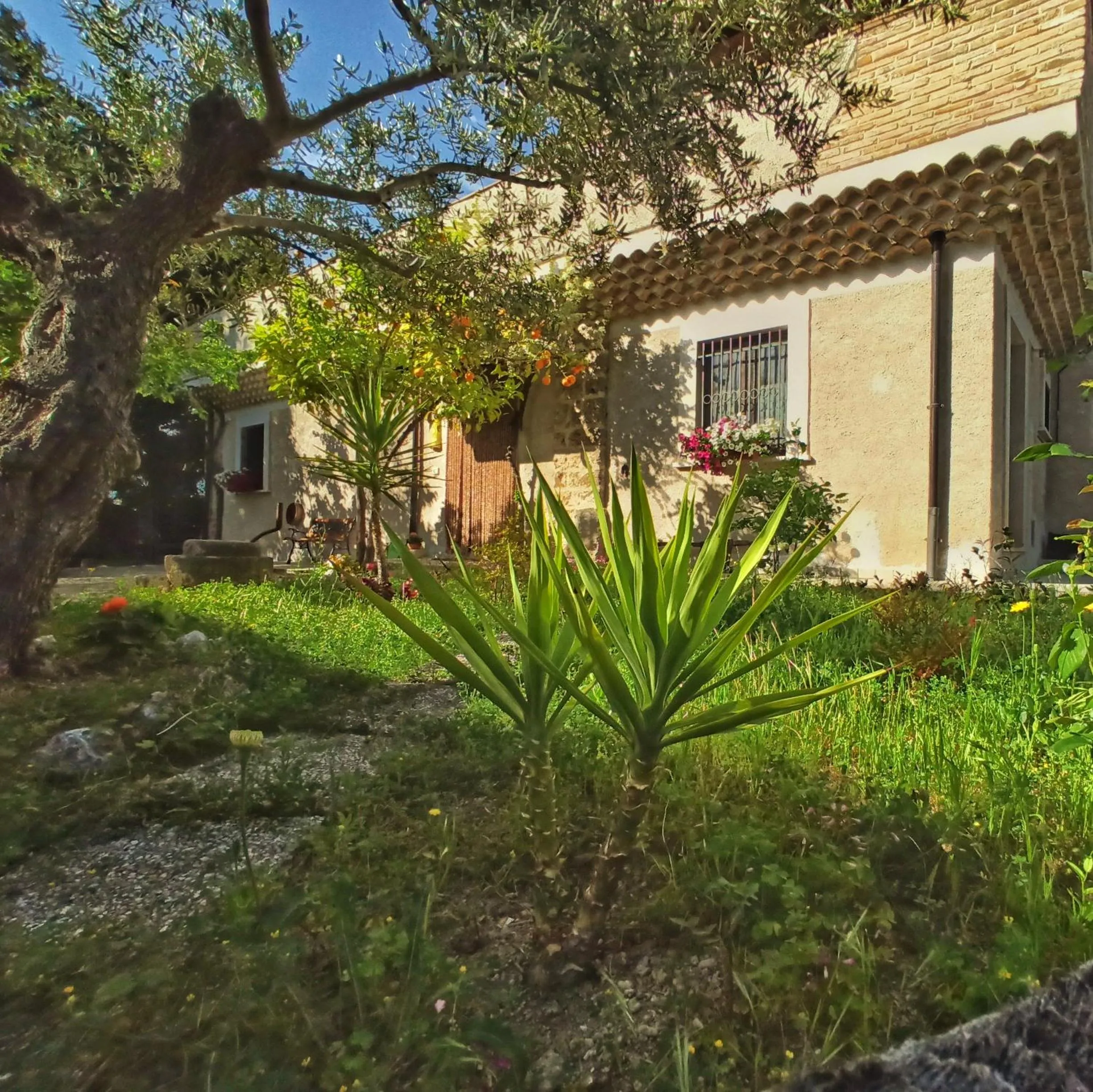 Property building in B&B La Masseria del '700