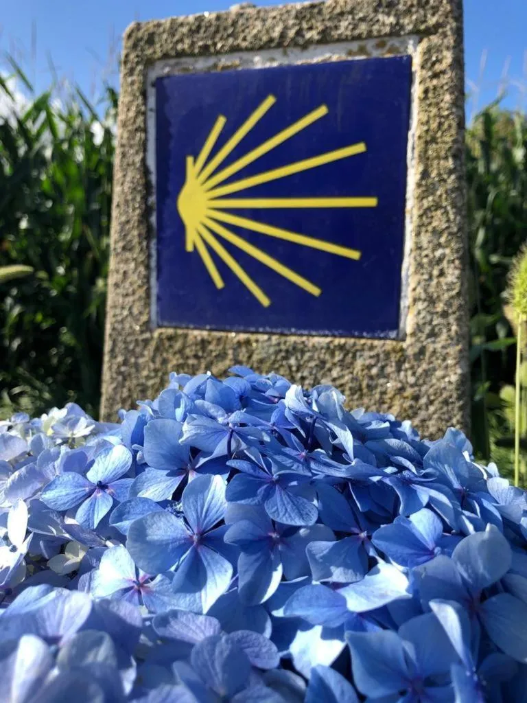 Albergue Ponte Olveira