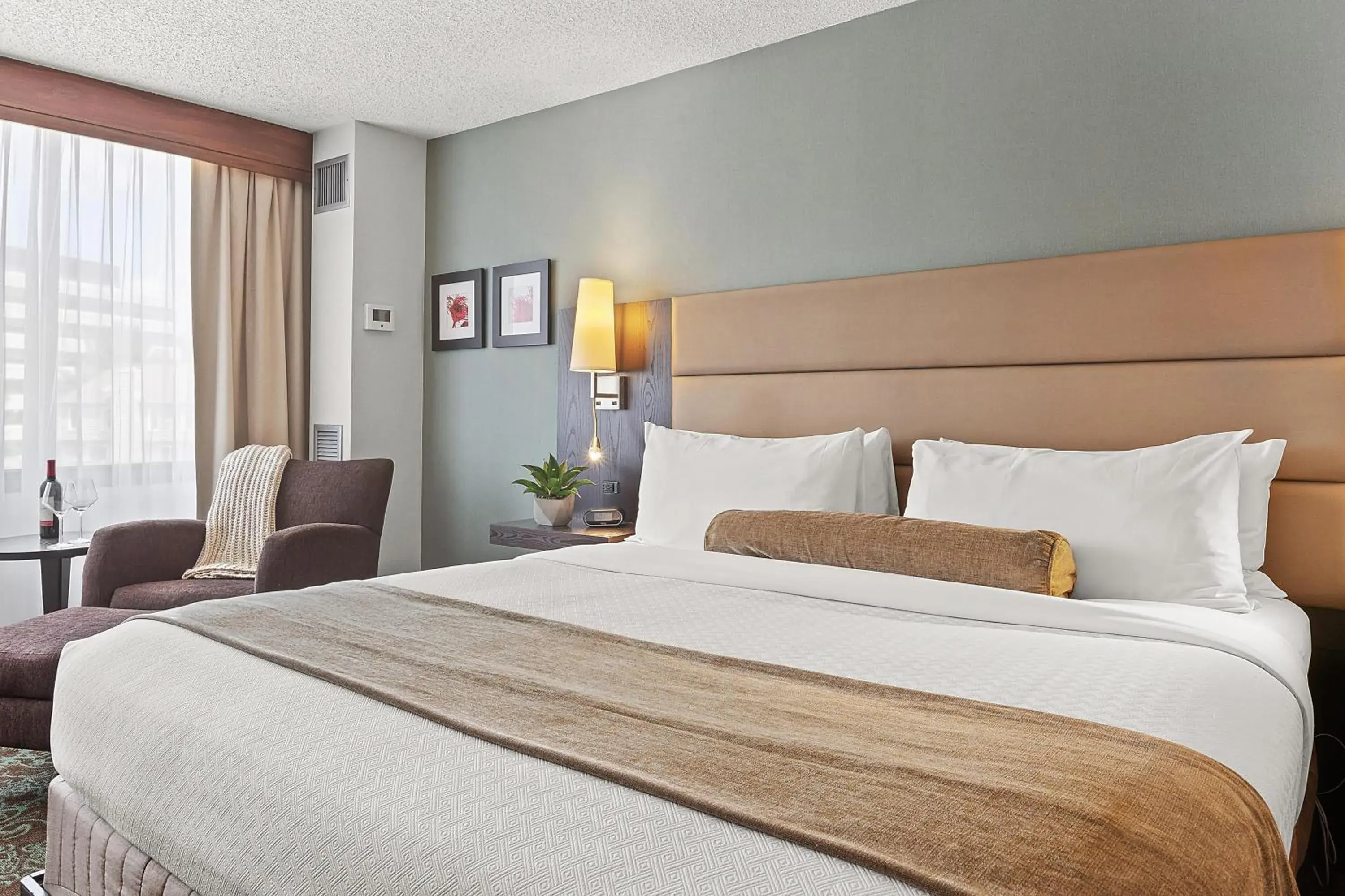 Executive Suite - Non-Smoking in The Armon Stamford Hotel & Conference Center Executive Suite - Non-Smoking in The Armon Stamford Hotel & Conference Center