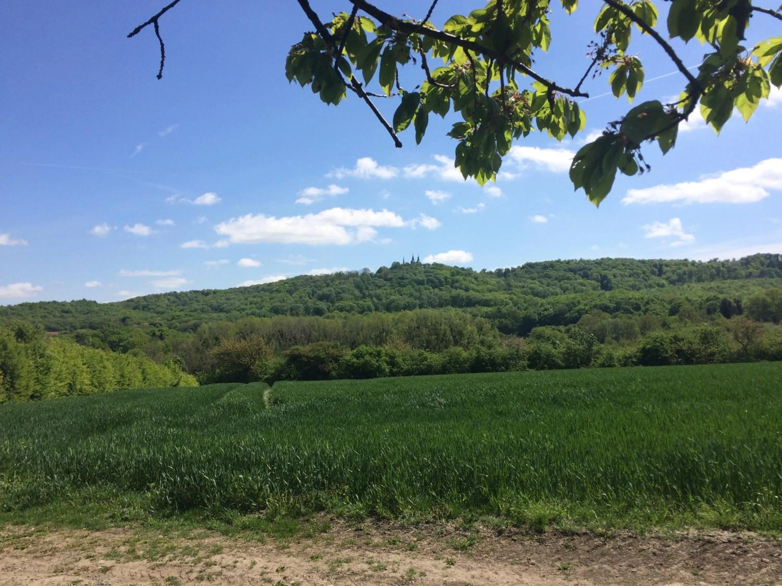 Natural landscape in Villa Bianca am Huy