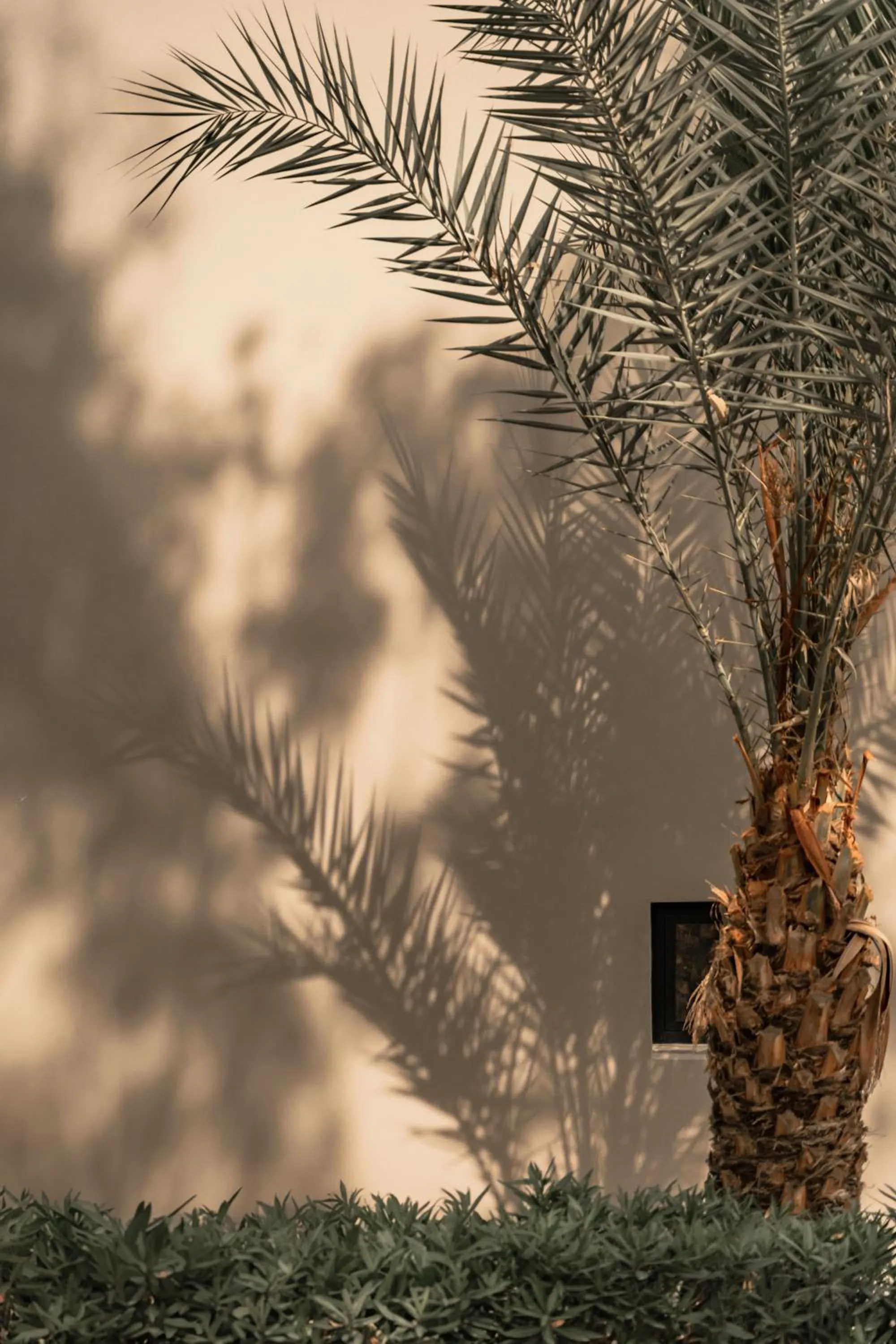 Property building in Cook's Club Kolymbia Rhodes -Adults only