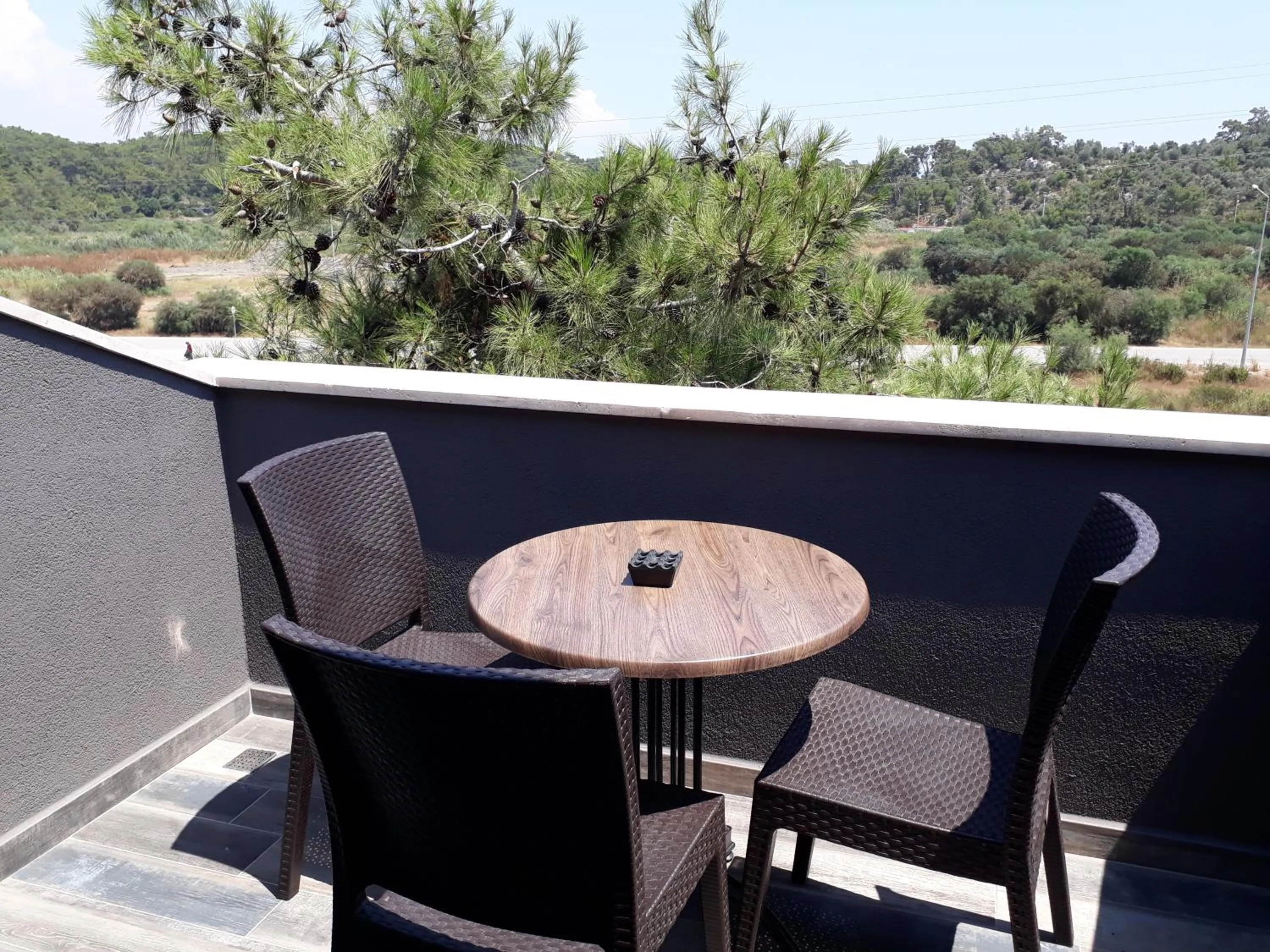 Day in THE SARIGERME INN