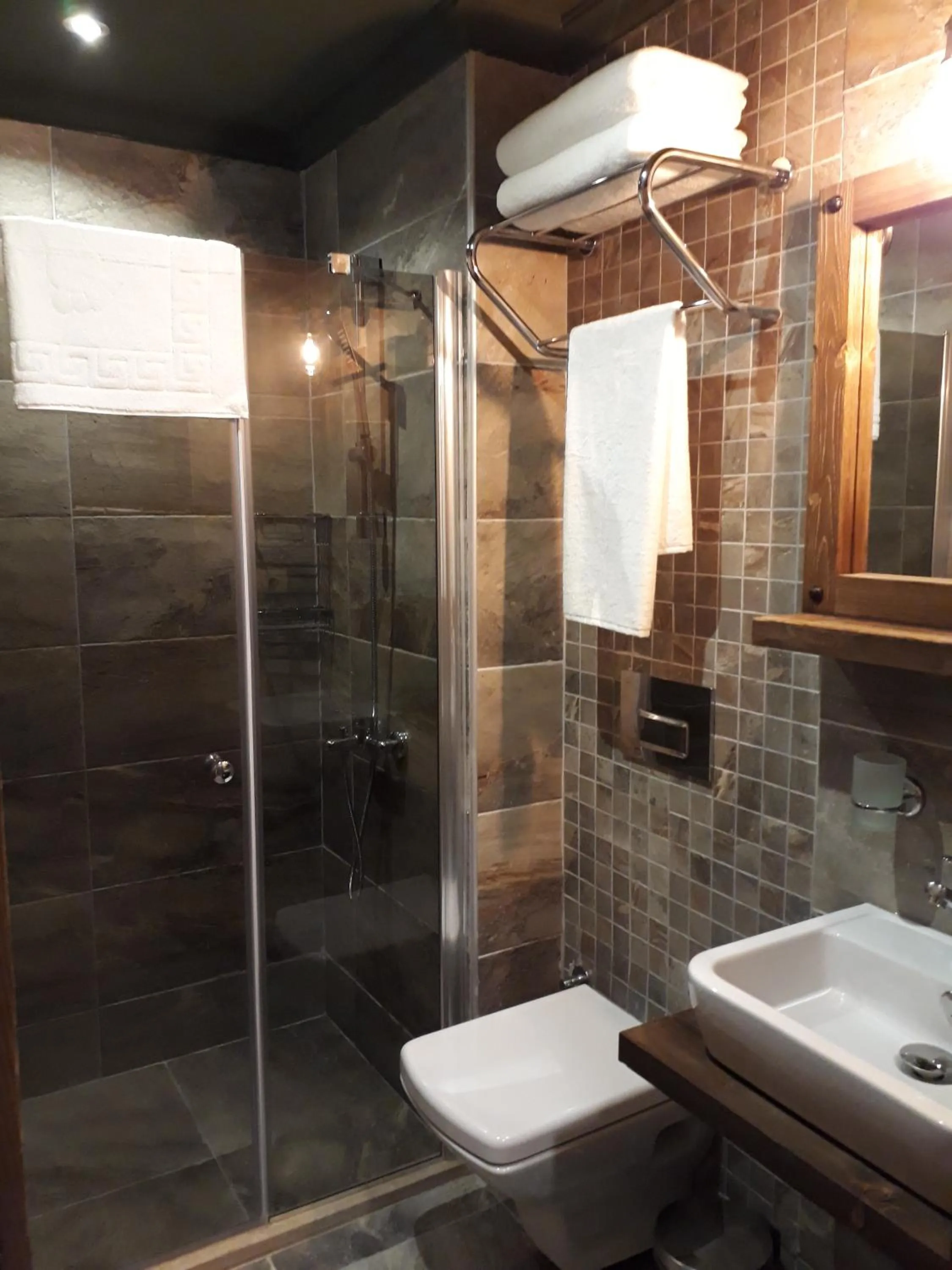 Shower in THE SARIGERME INN