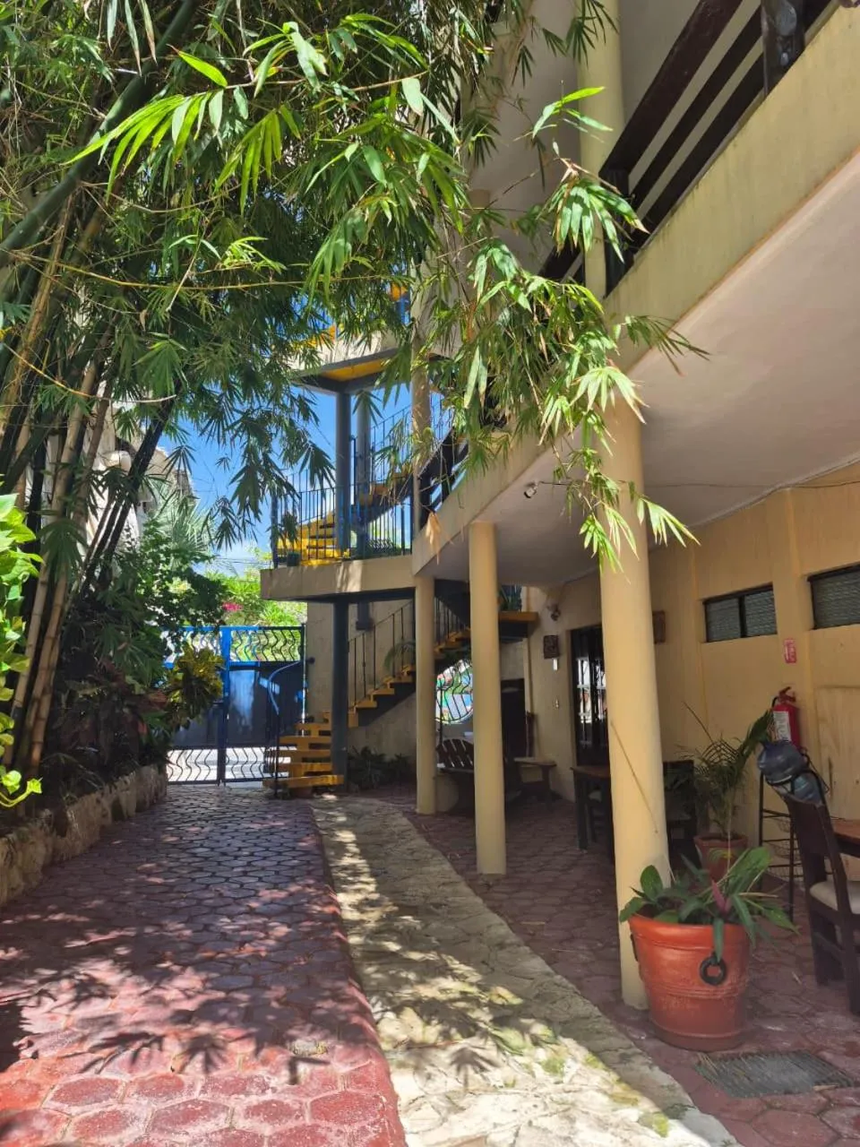 Garden in Hotel Casa el Moro