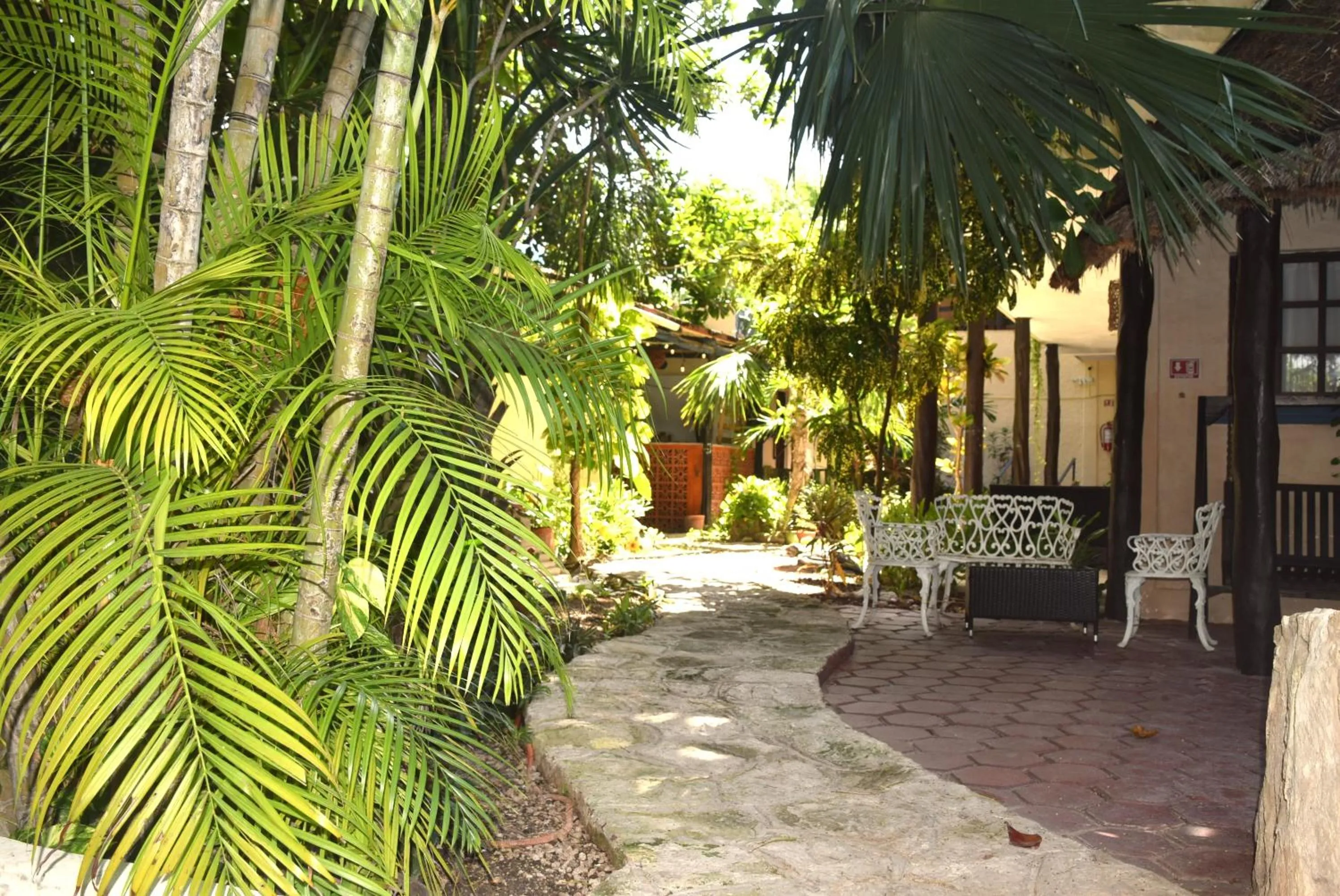 Garden in Hotel Casa el Moro