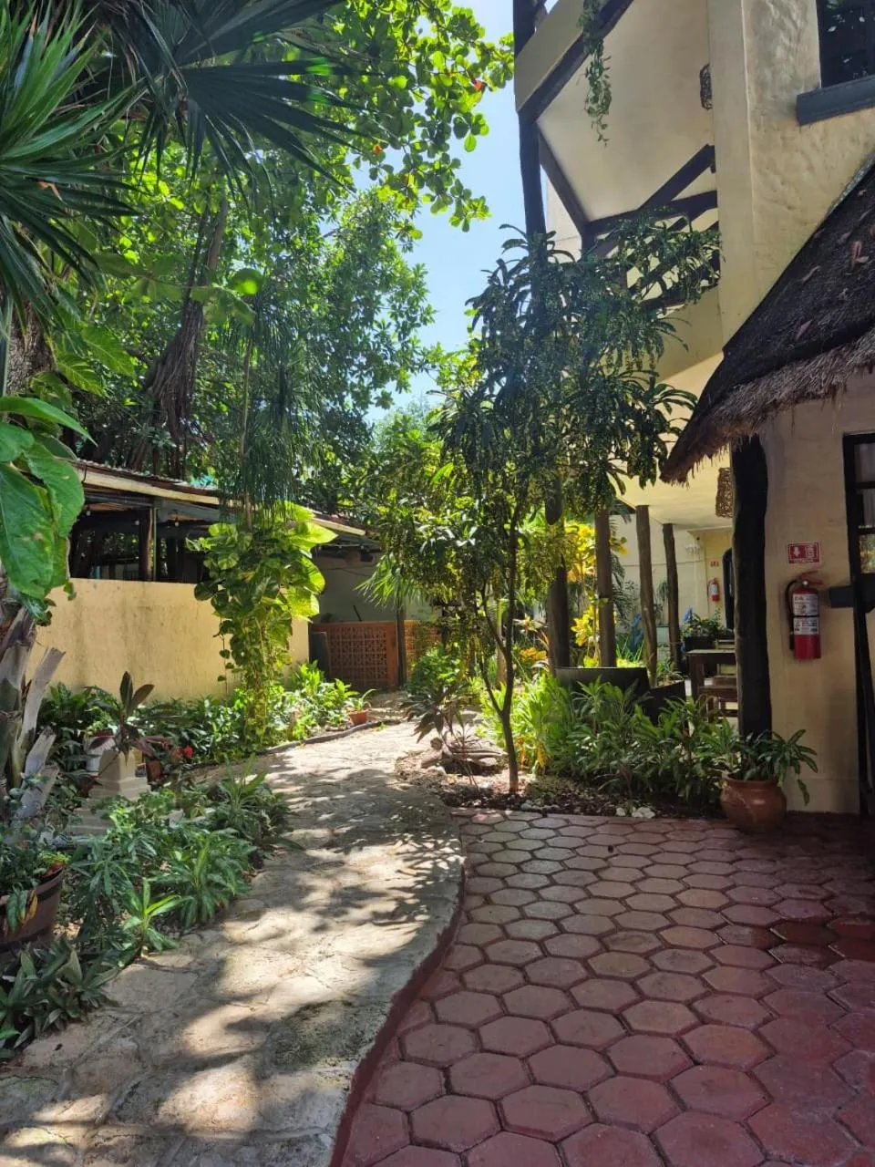 Garden in Hotel Casa el Moro