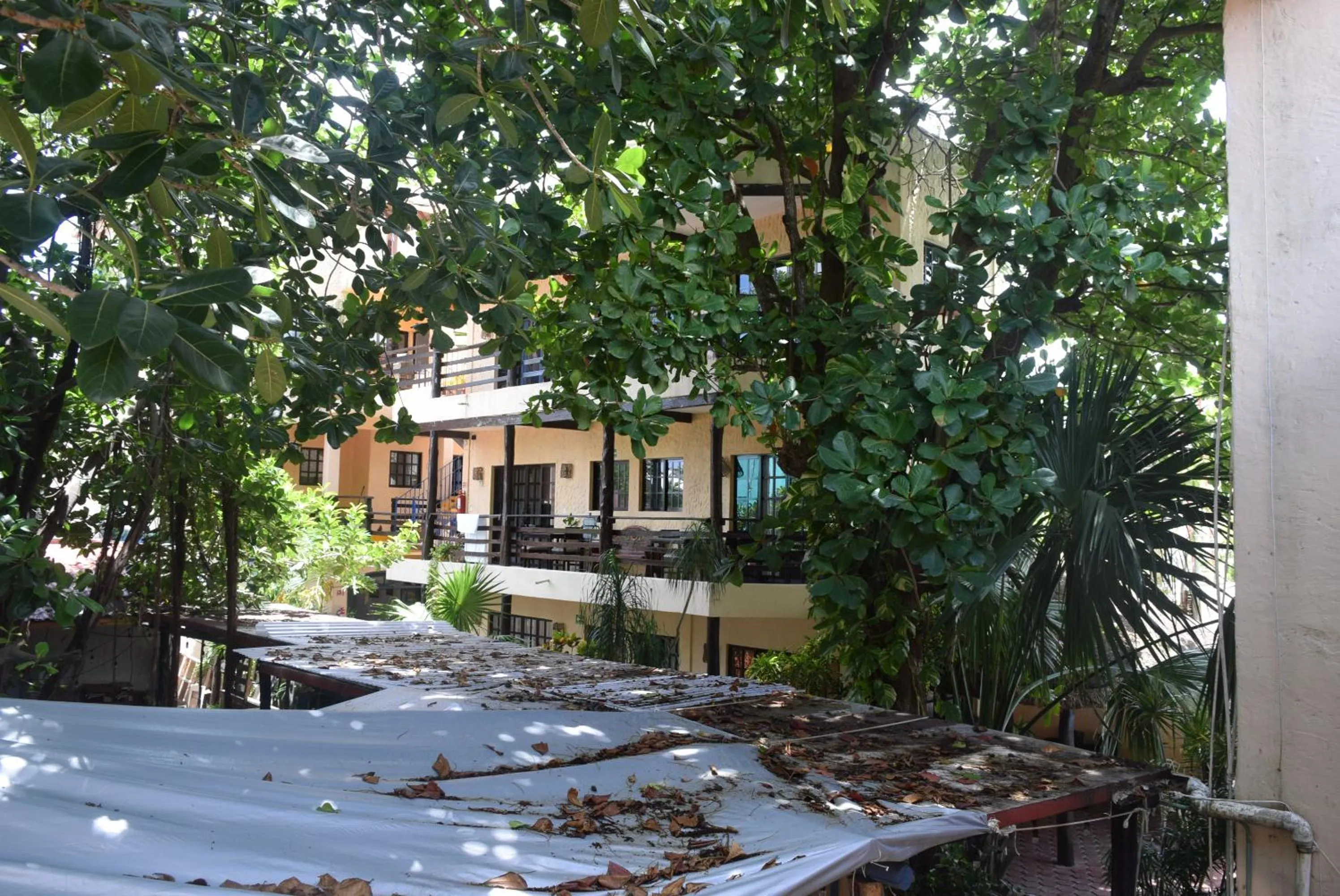 Property building in Hotel Casa el Moro